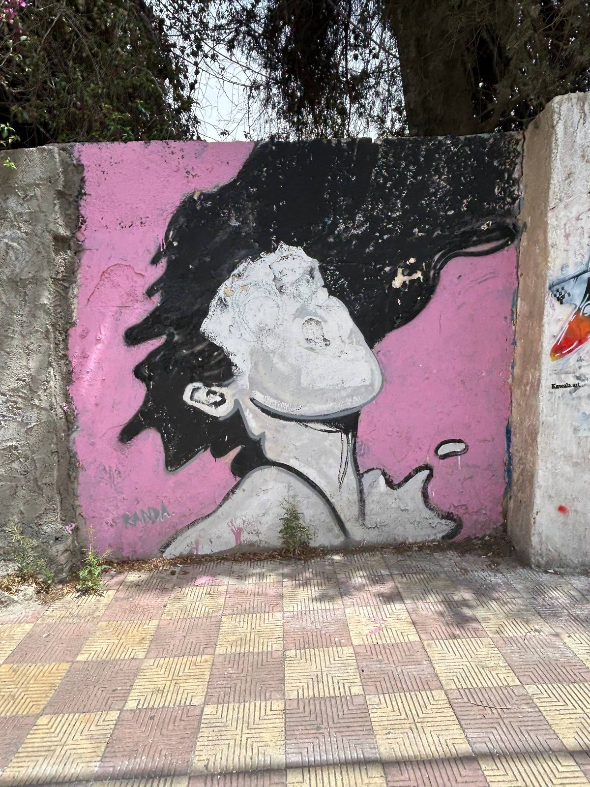 Randa Abu-Rahmeh&mdash;- eyes