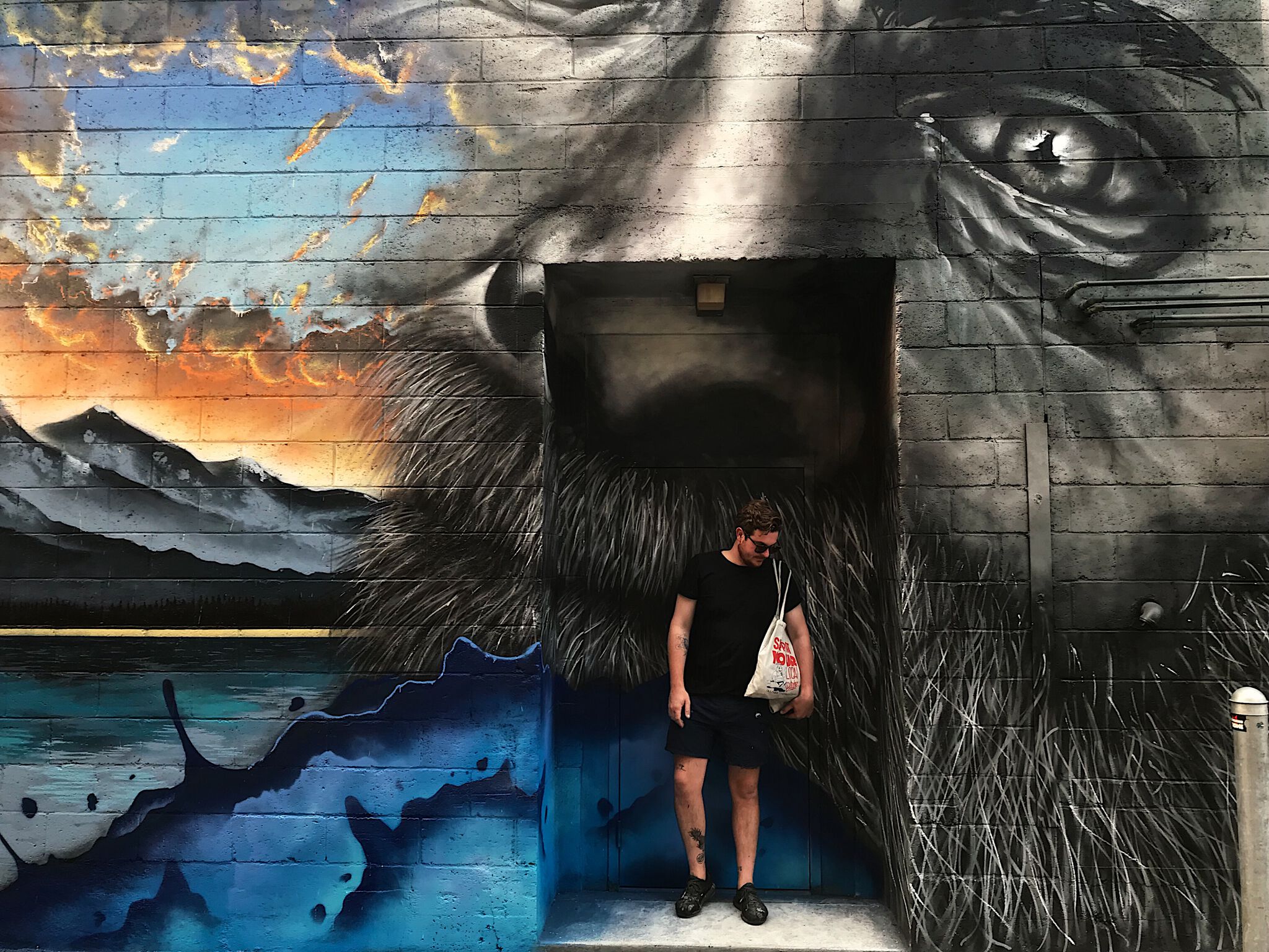 Jerome Davenport&mdash;Into the Wild