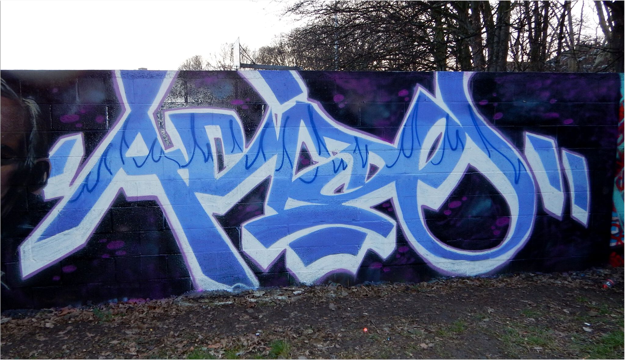 Noname, jnc, Ecto, Acide4000, nilon, nico hayer, Soke - la cabane, etc...., PsoMan&mdash;Skate Parc de Cointe