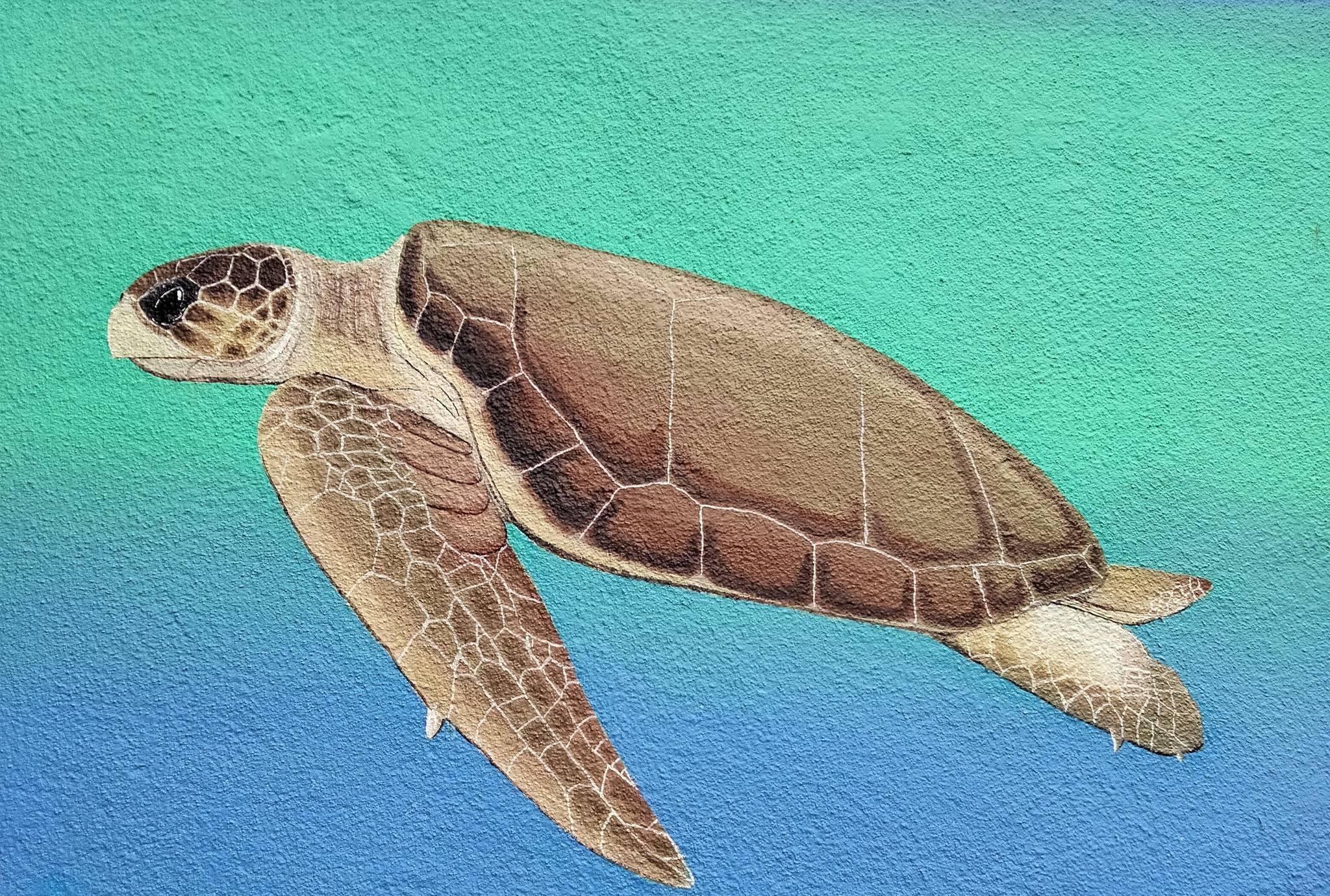 Mrs Murals&mdash;Ocean Subway