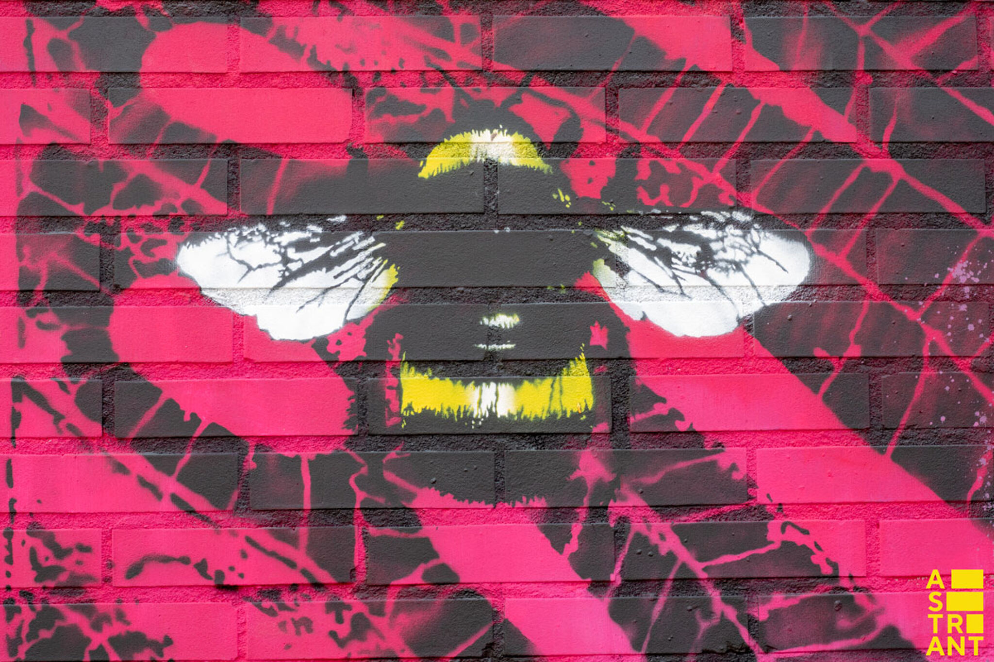 pipsqueakwashere&mdash;Panta Rhei