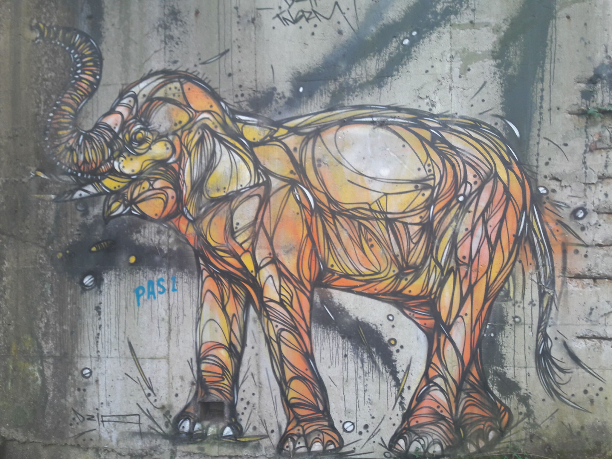 Dzia&mdash;Splish Splash Elephant