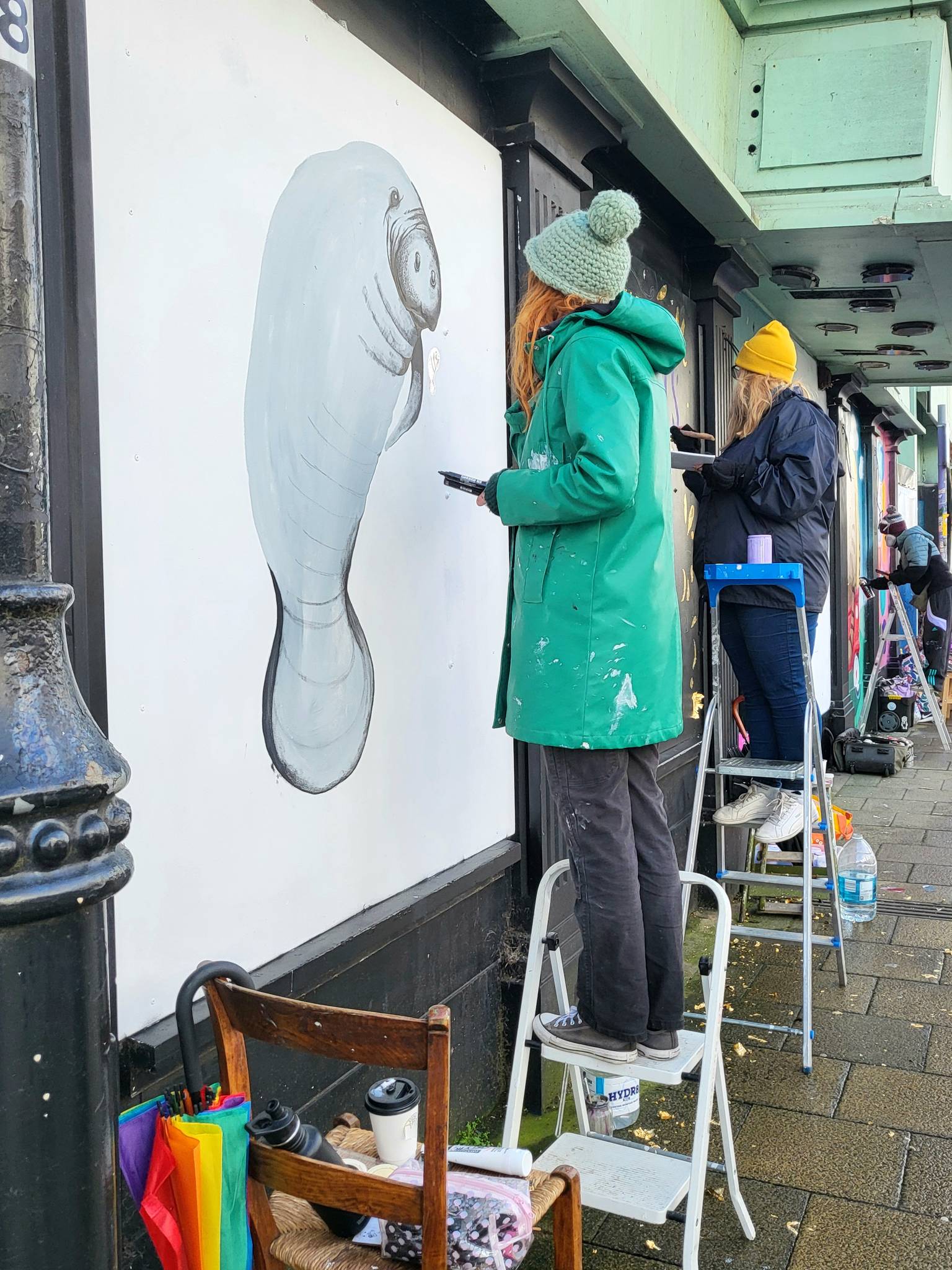 rooabrook, Koe1, Ketones6000, thisismidge, NZIE, Gary Stranger, pogo, RoosArt&mdash;Osborne Road Street Art Gallery