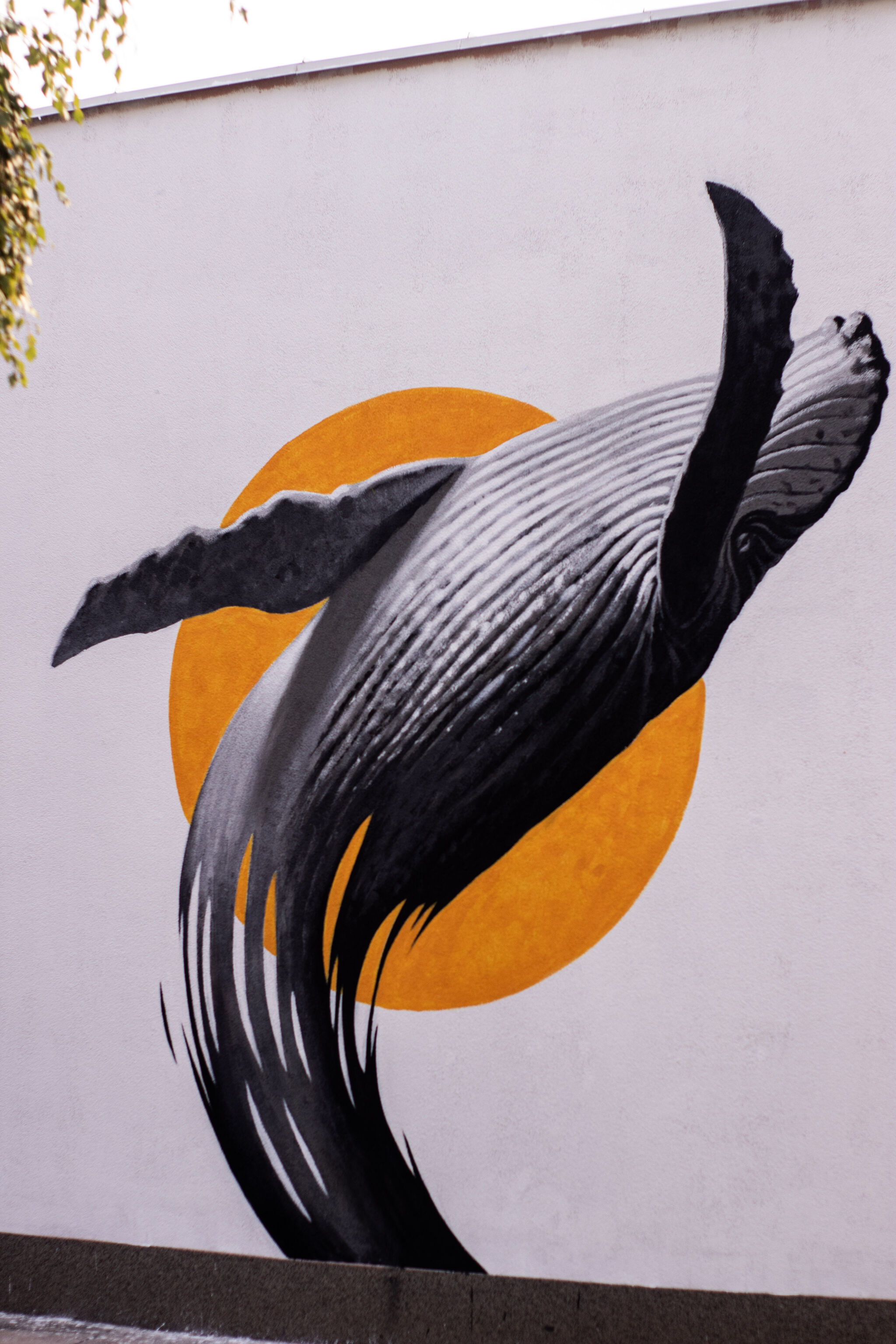 Kerim Musanovic&mdash;Untitled