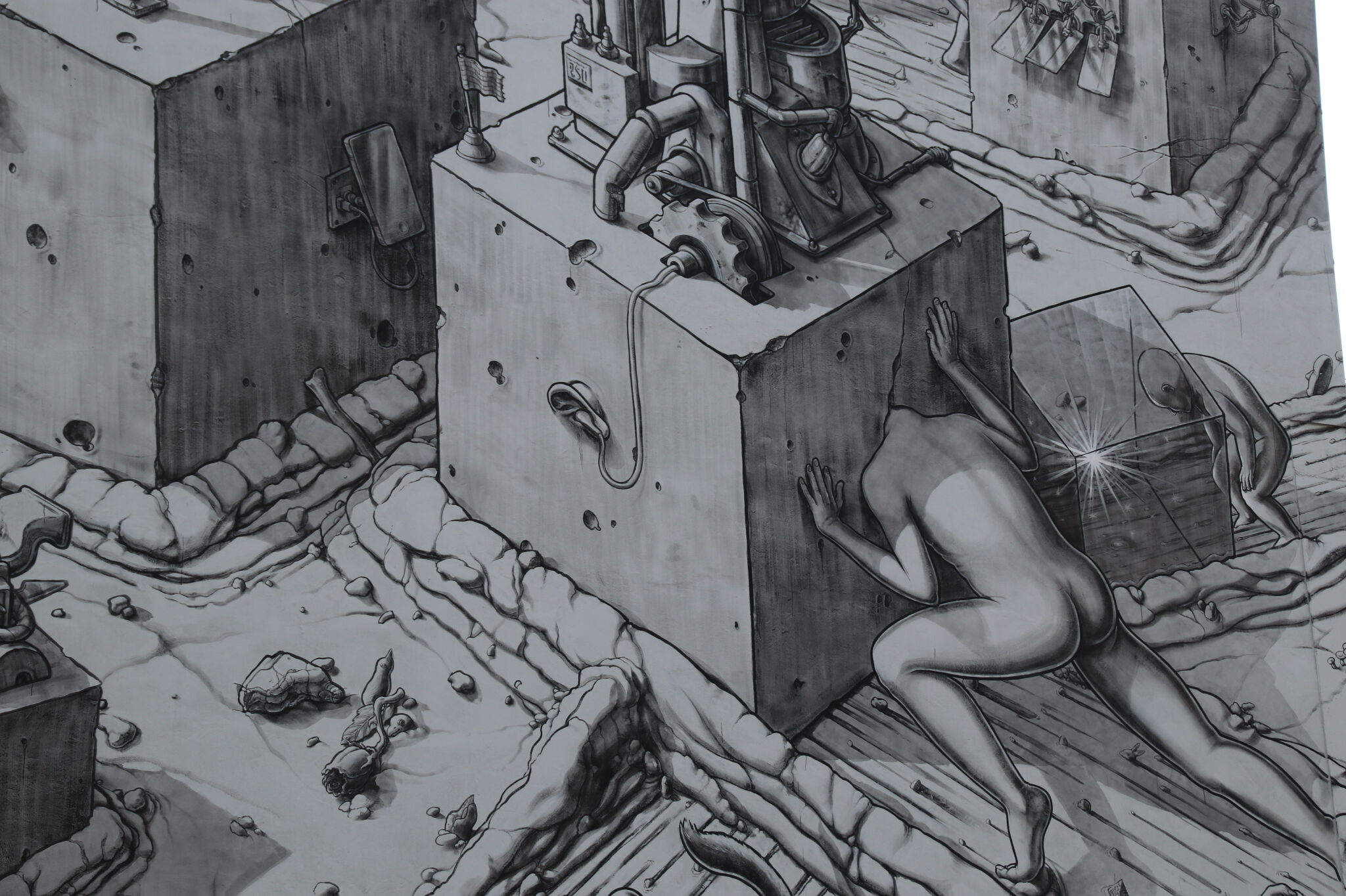 Liqen&mdash;The blindness