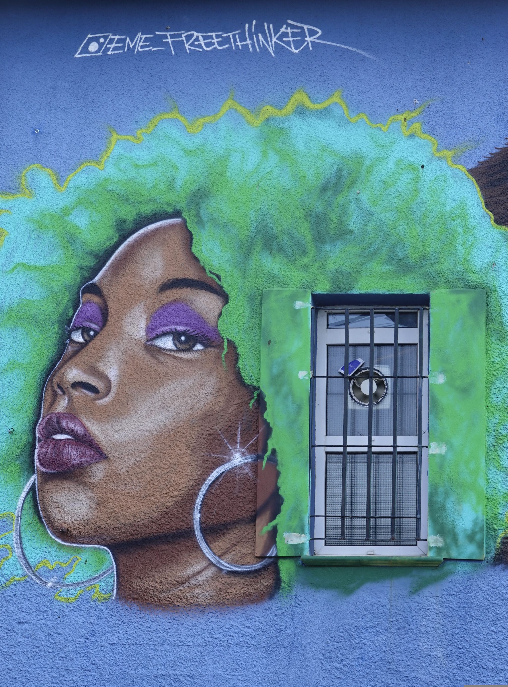 Eme Freethinker&mdash;Chica y gorila