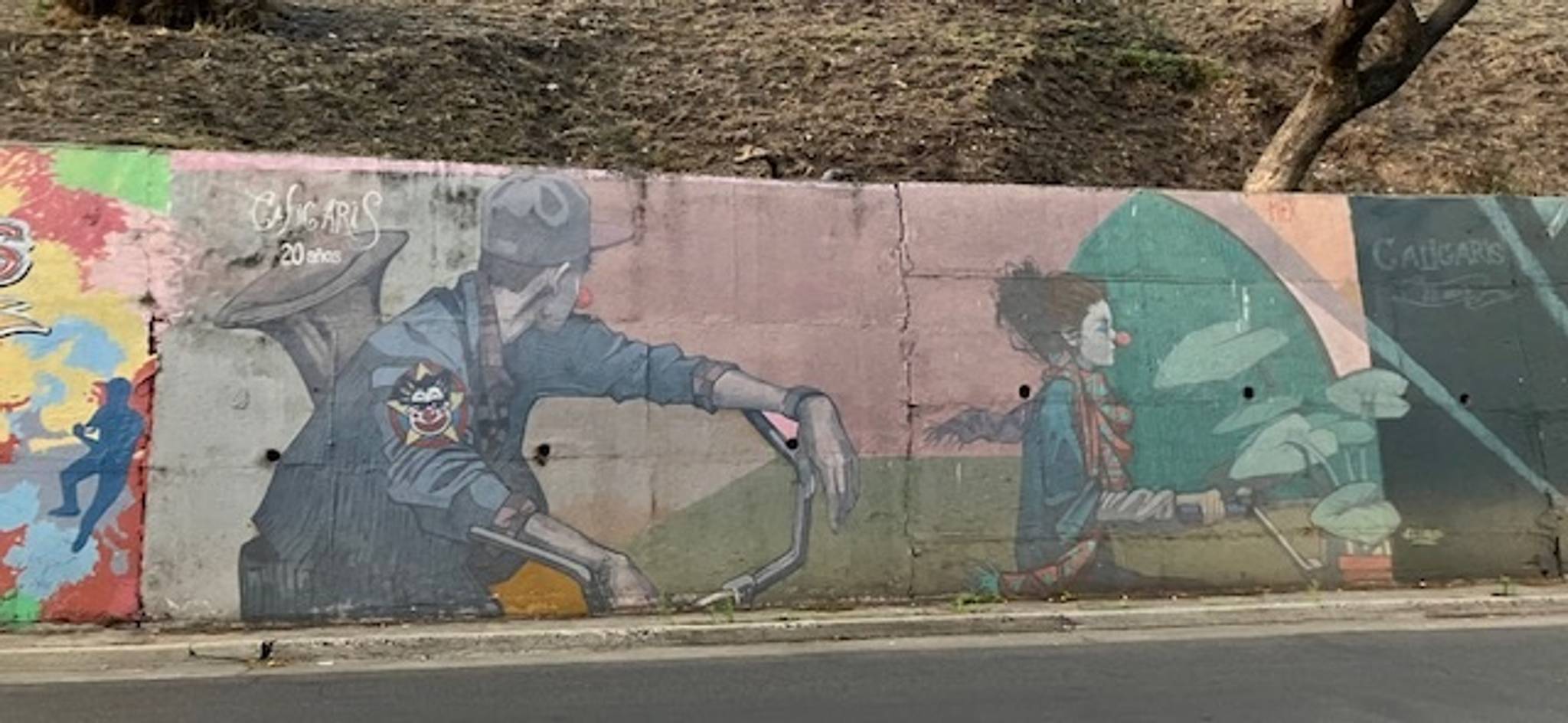 MEX&mdash;Caligaris, 20 años