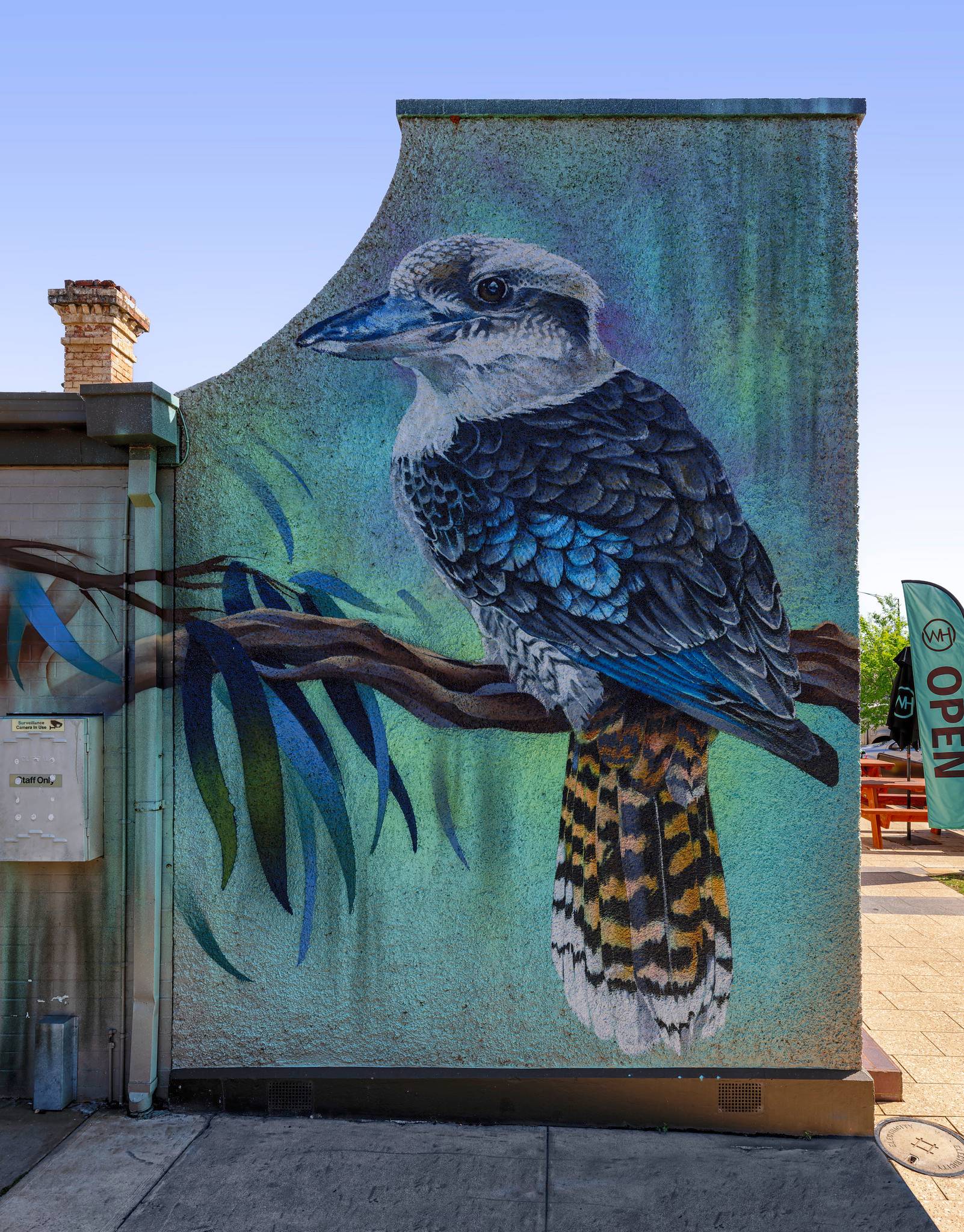 Bryan Itch, Andrew J Bourke&mdash;Laughing Kookaburra
