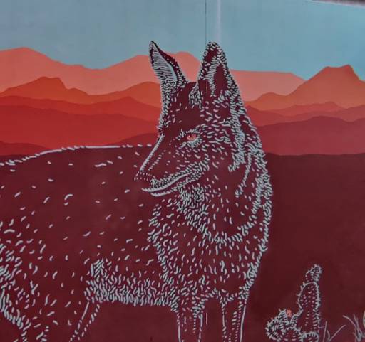 Radio Coyote