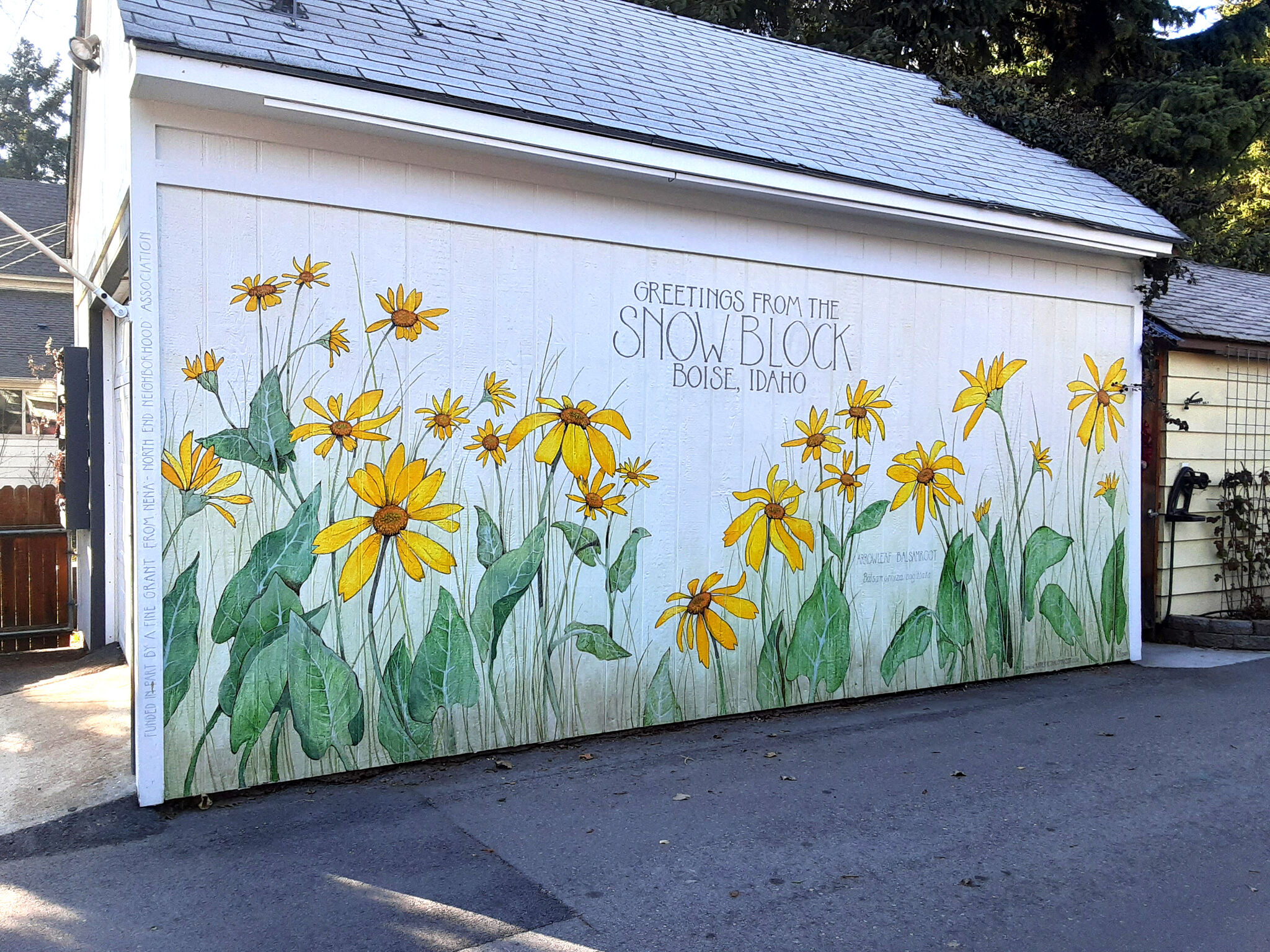 Katherine Shaughnessy&mdash;SNOW Block