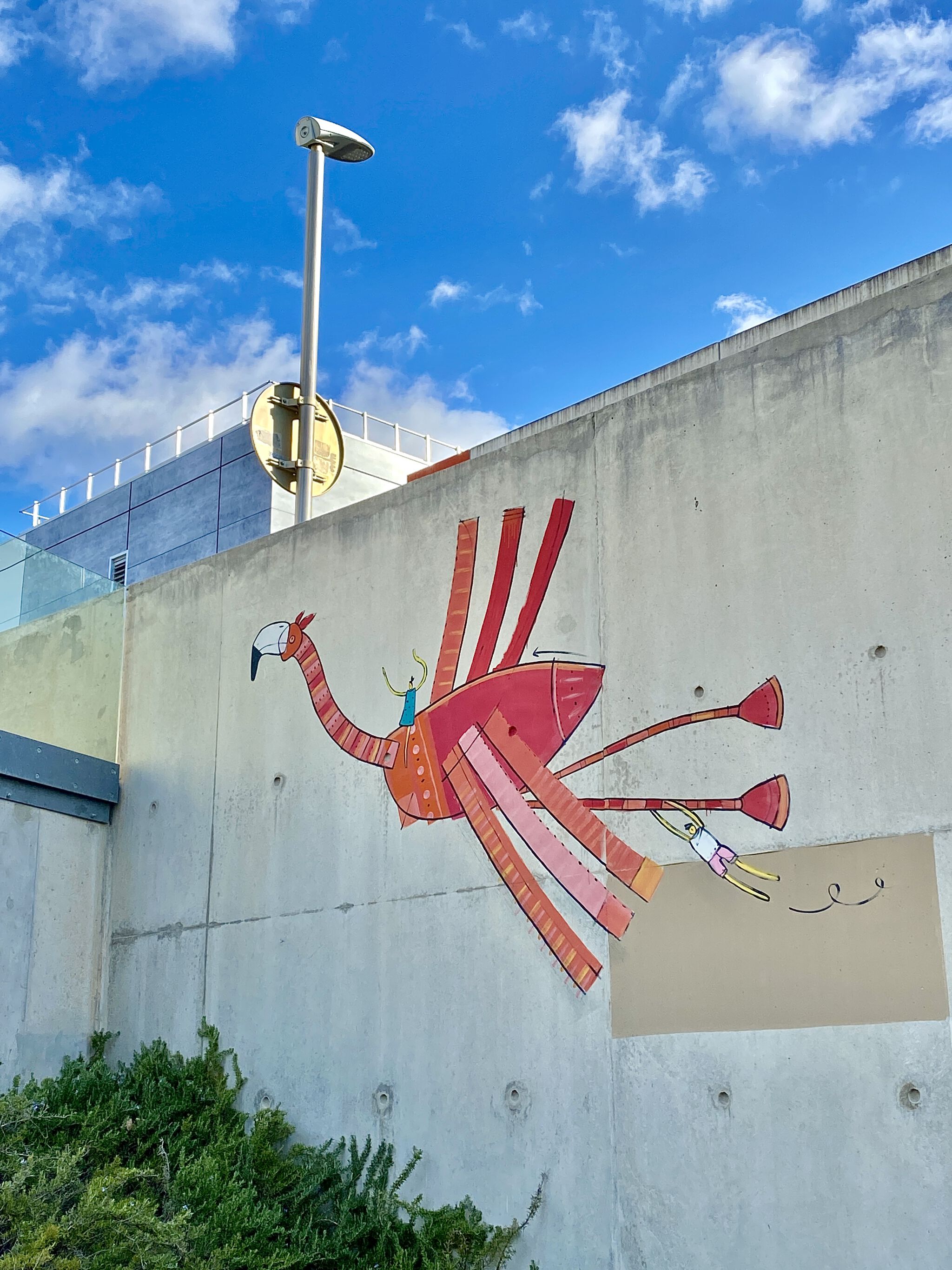 Adec&mdash;Flight of the Flamingos at St Eloi Hospital