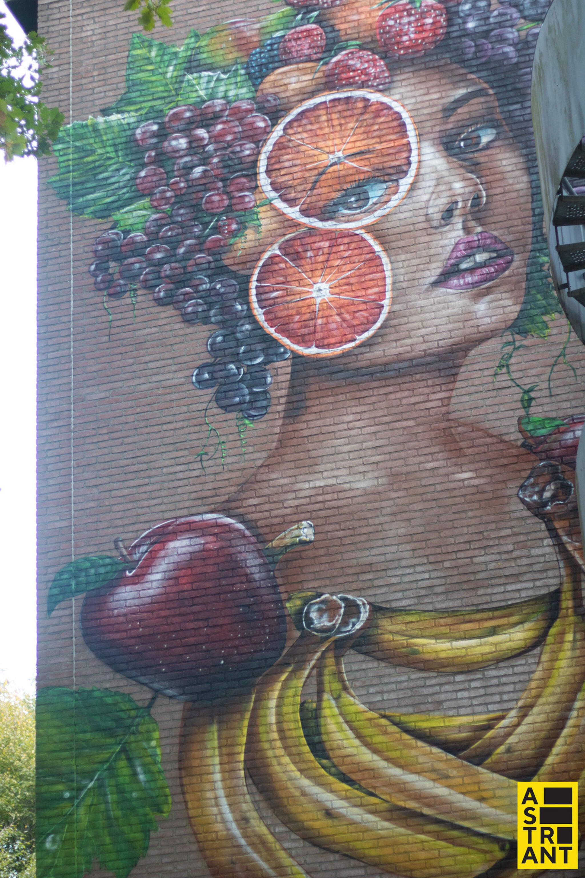 Da2, El Rojo&mdash;World Food Centre