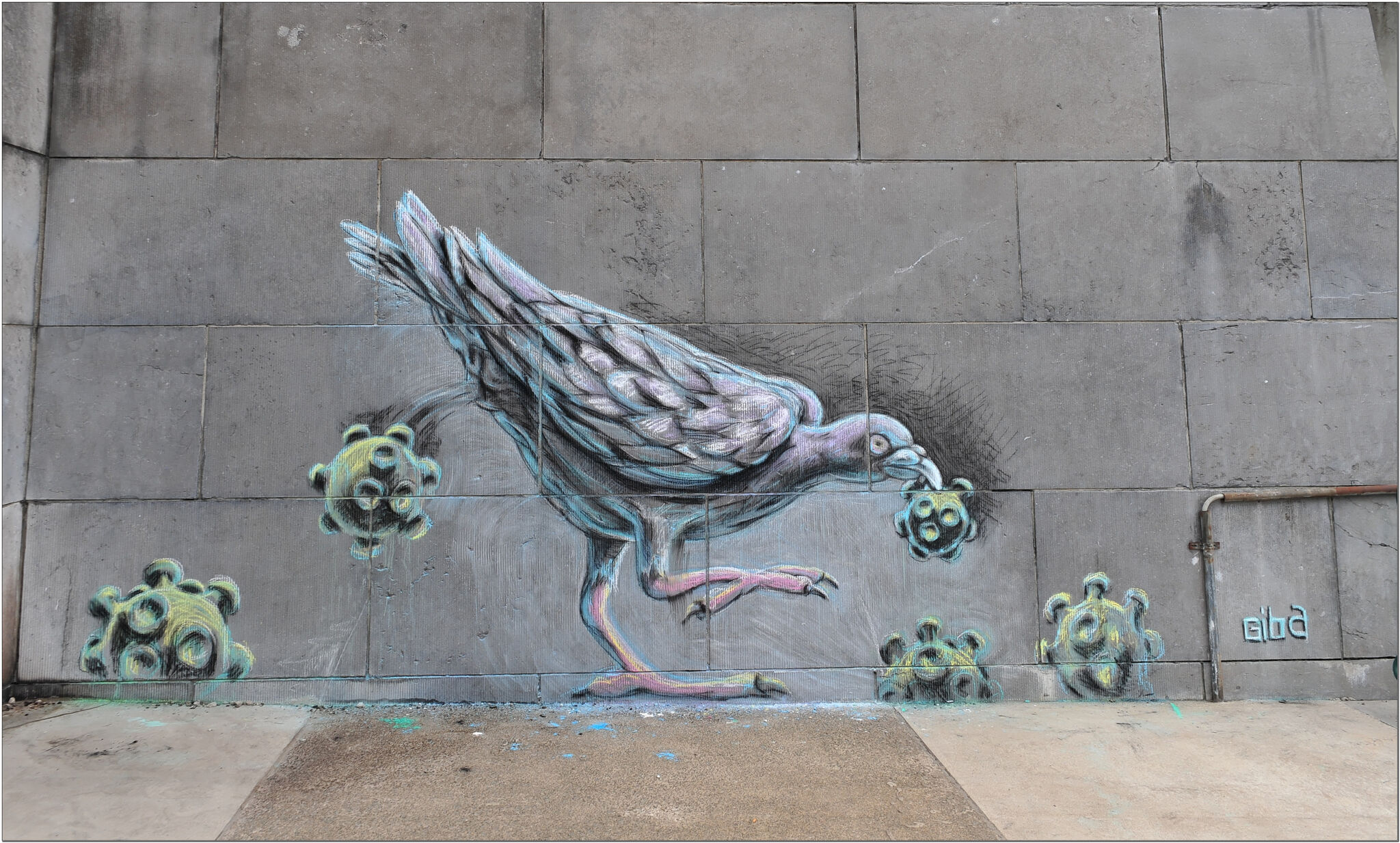 Giba&mdash;Le pigeon et les virus