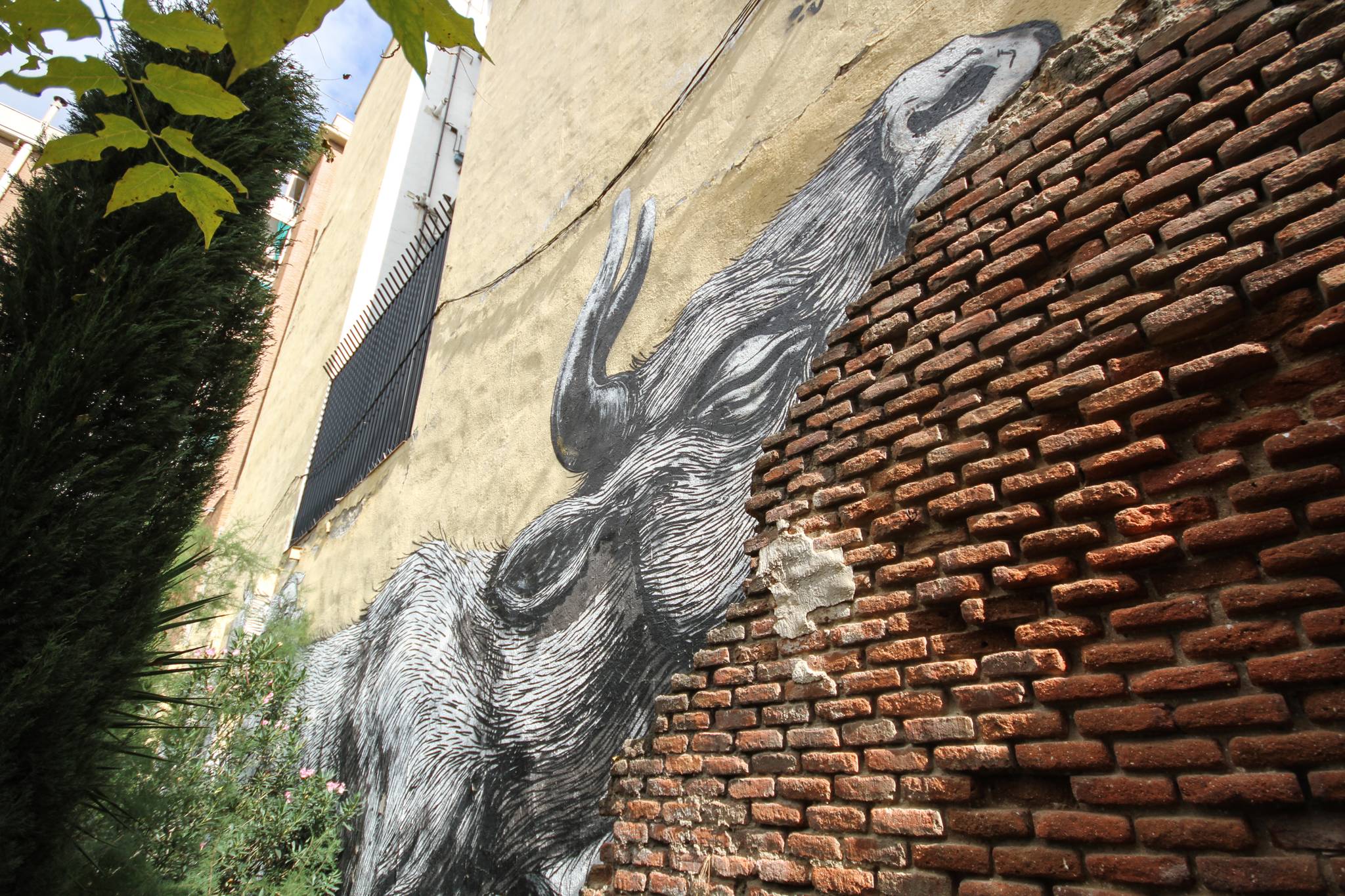 ROA&mdash;Pigs and Ox