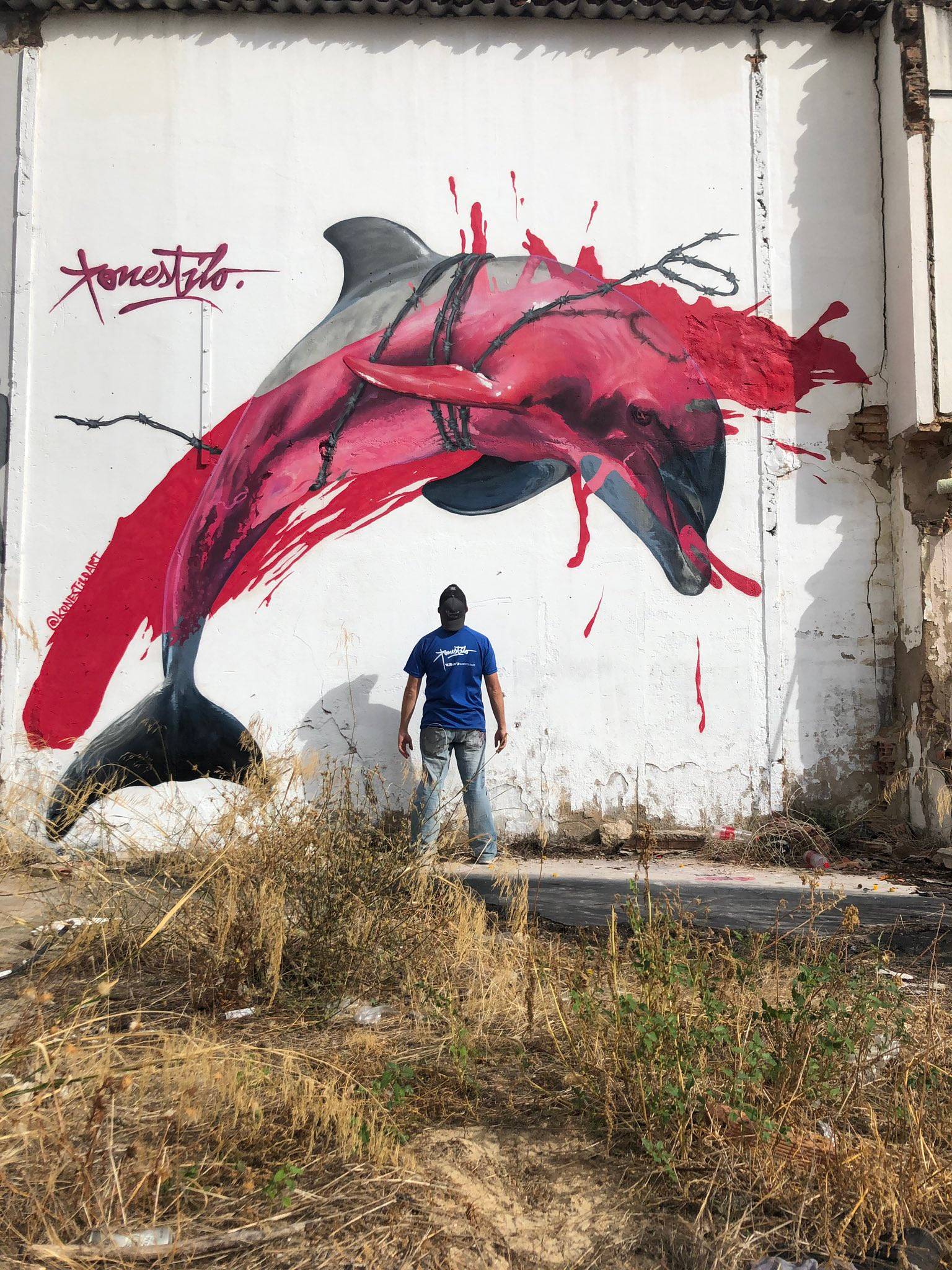 Konestilo&mdash;Dolphin Emotions!