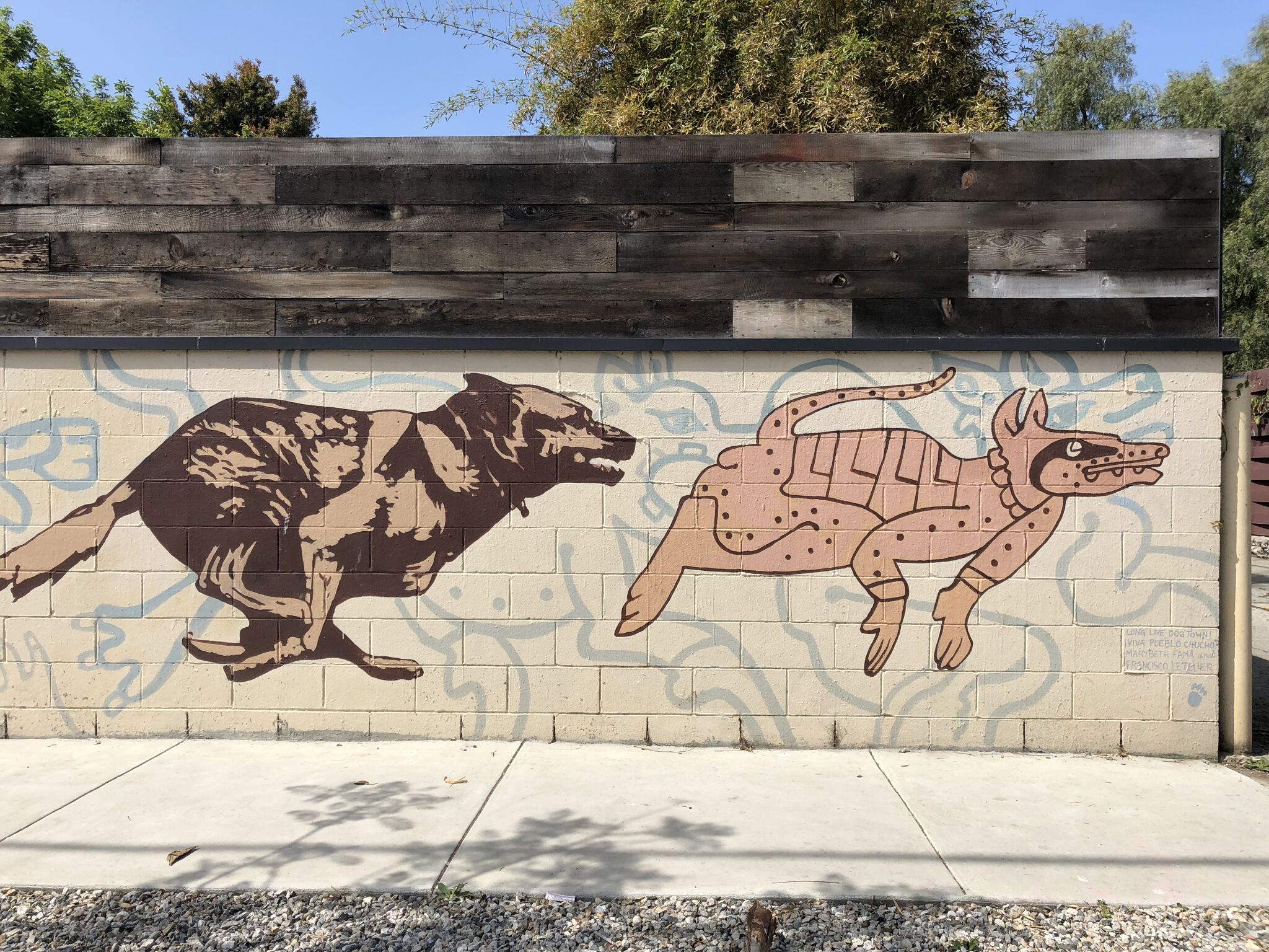 Francisco Letelier&mdash;Long Live Dogtown!