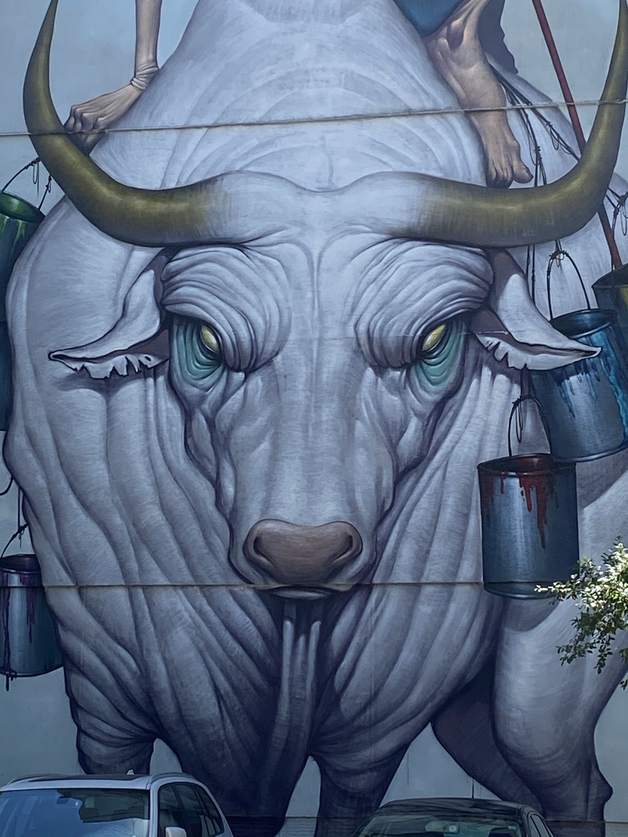 Bozko&mdash;The Bull