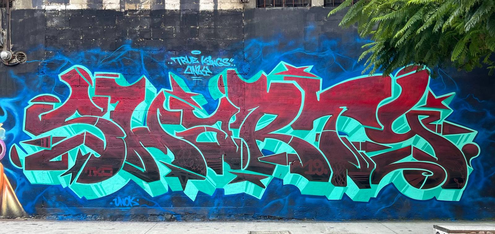 Sharty, Seyor, Desk, Post, Crabneo&mdash;Pura vida Mae