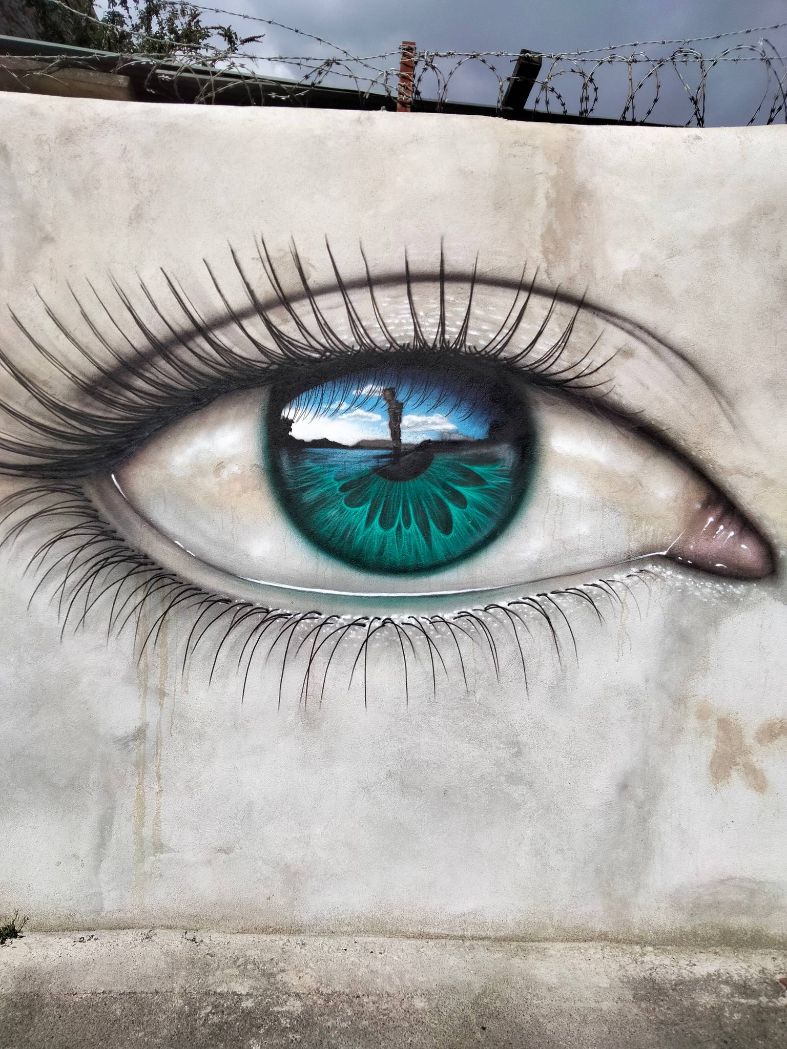 My Dog Sighs&mdash;Plymouth Eye