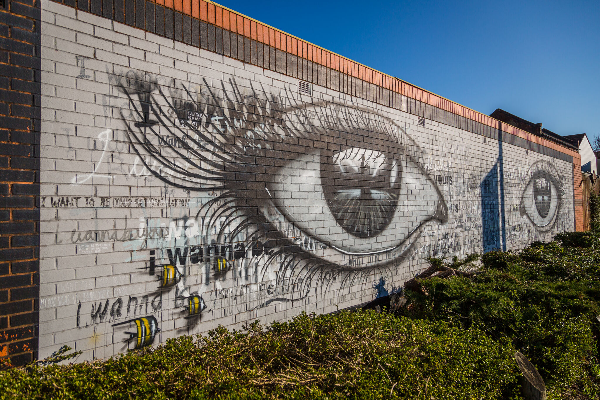 My Dog Sighs&mdash;I Wanna Be Yours
