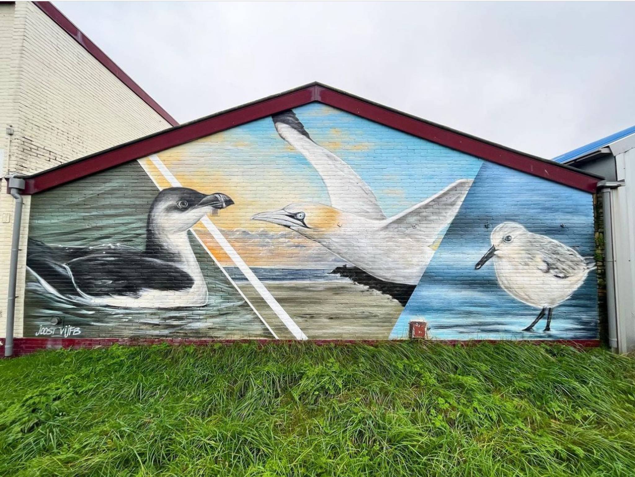 Joostvijfb&mdash;Birds of IJmuiden