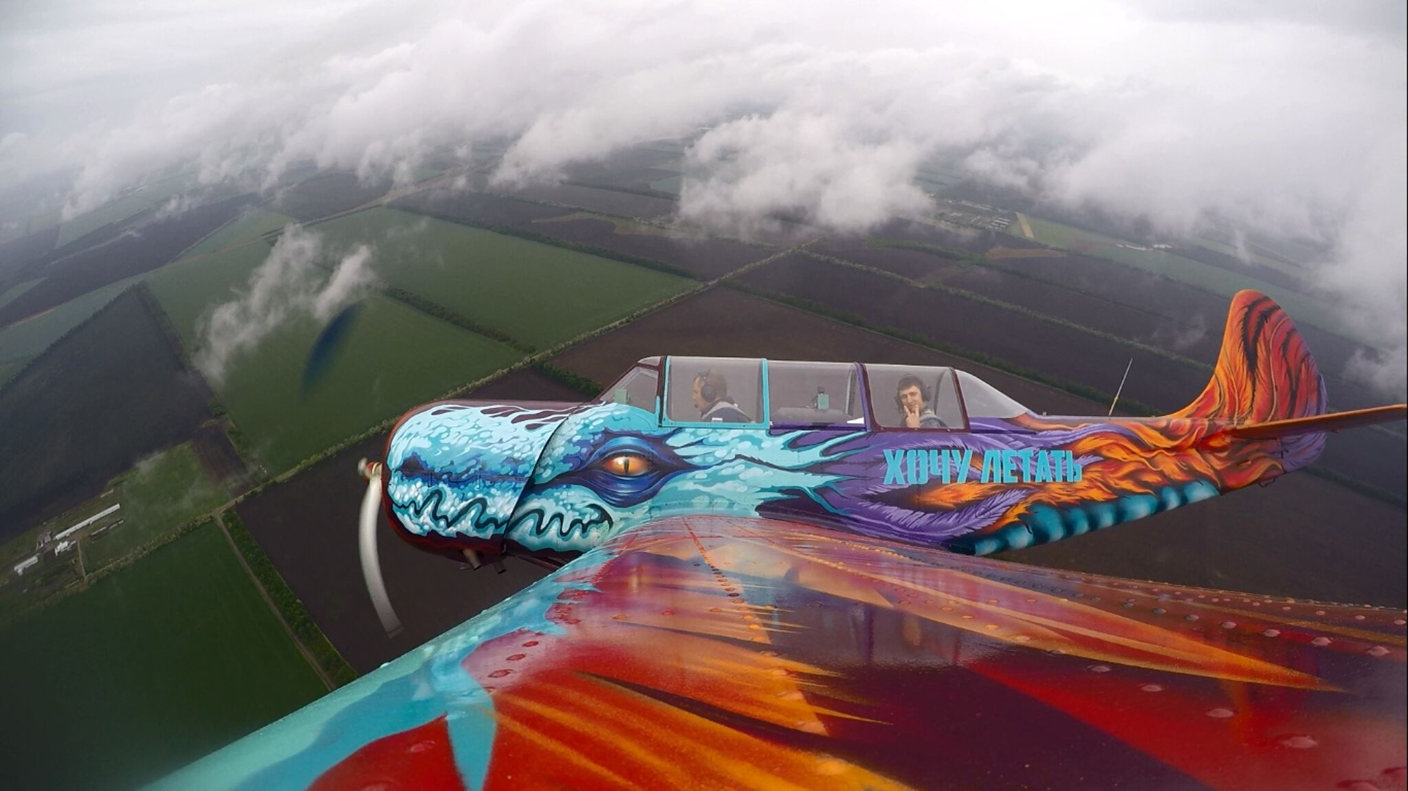Gooze&mdash;"dragon" -  plane on the airfield