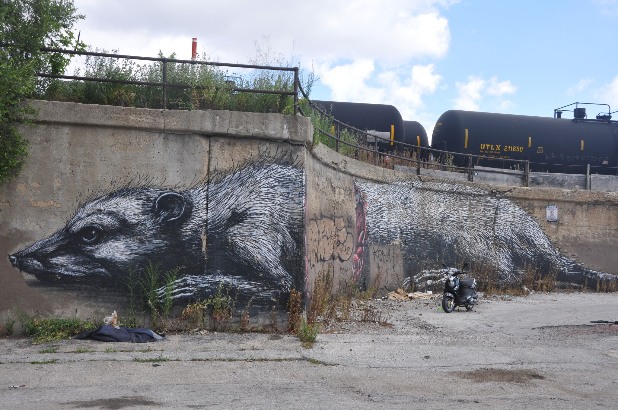Roa&mdash;ROA