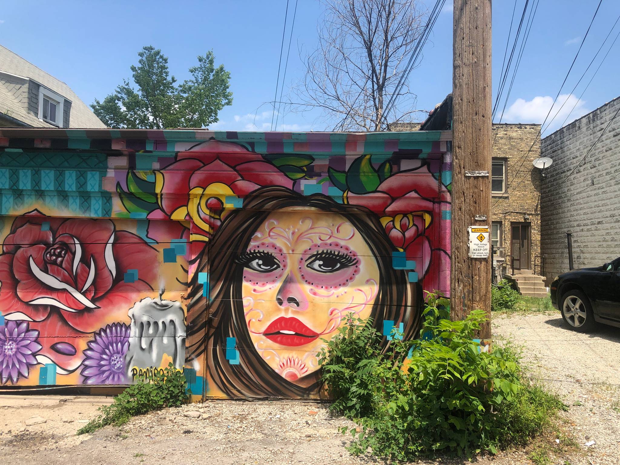 Ramiro Sandoval Arguta&mdash;3 Murals