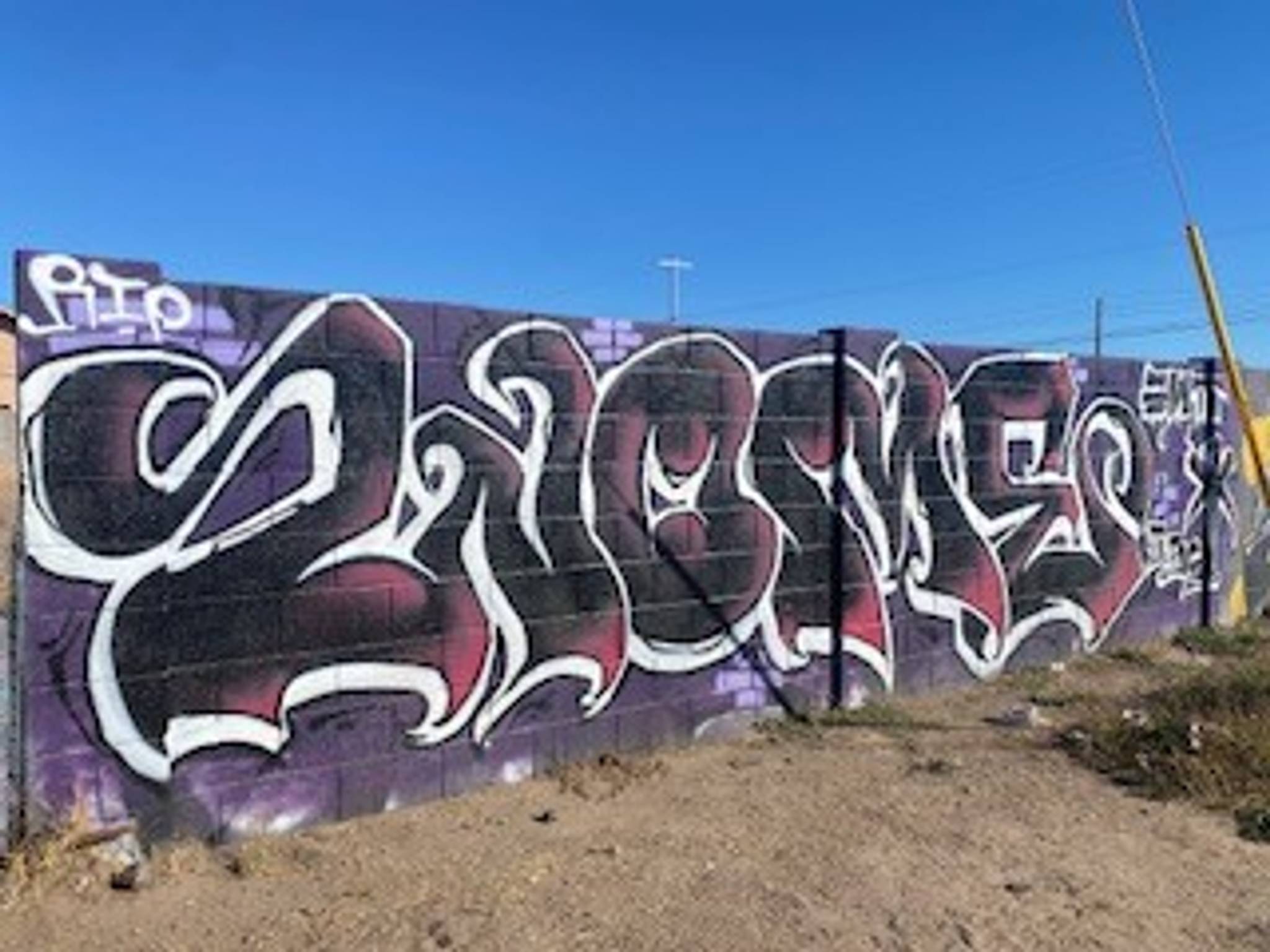 Unknown - Phoenix&mdash;Untitled