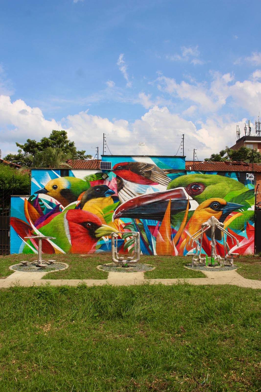 Sancho&mdash;"Aves de Cali"