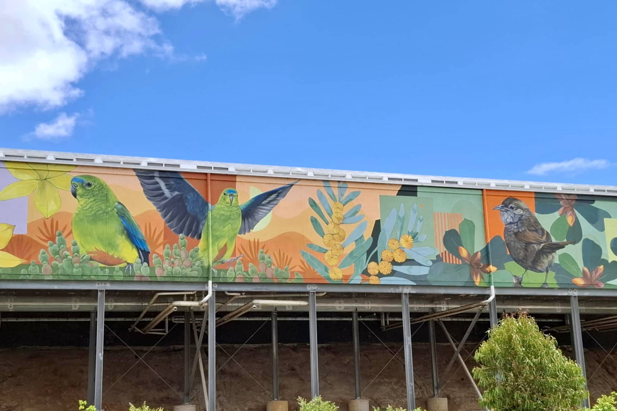 Ash Taylor&mdash;Leongatha and its Landscape