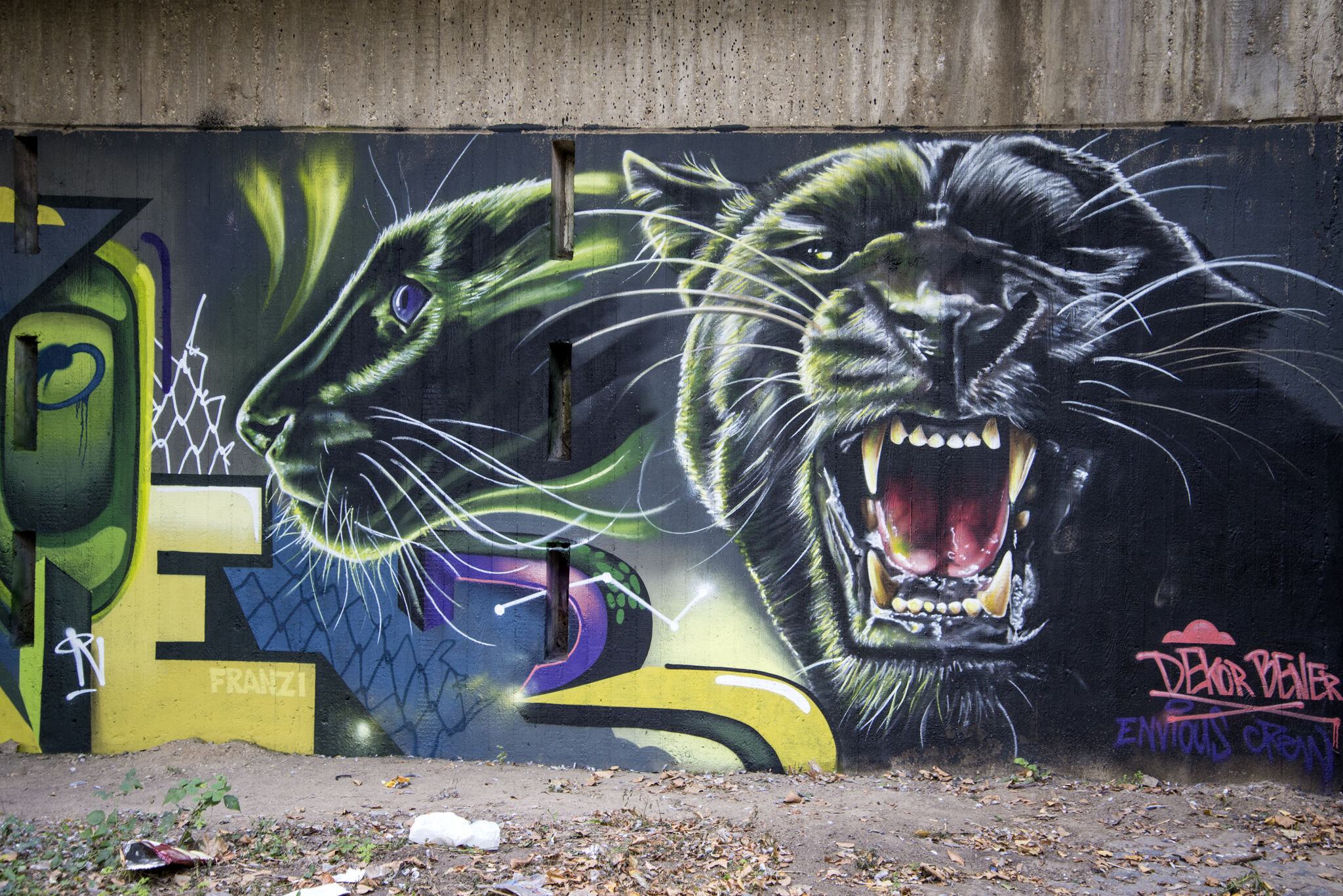 Unknown - Hannover&mdash;Urban Nature - Wall of Fame 'Ihmeufer'