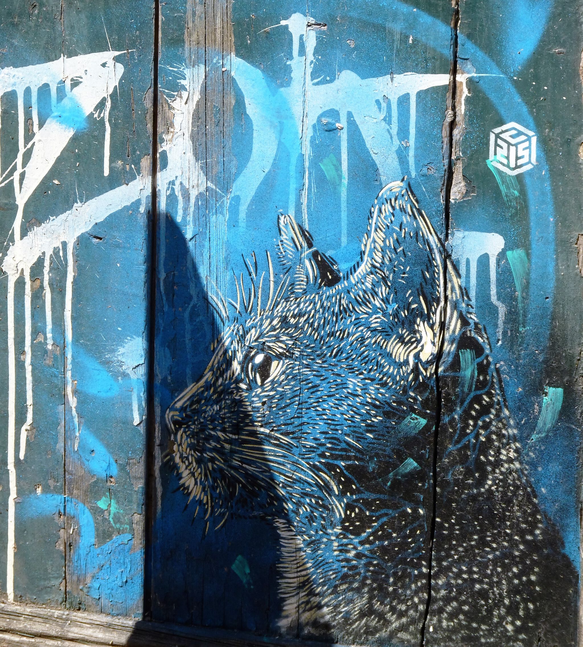 C215&mdash;C215 in Sète