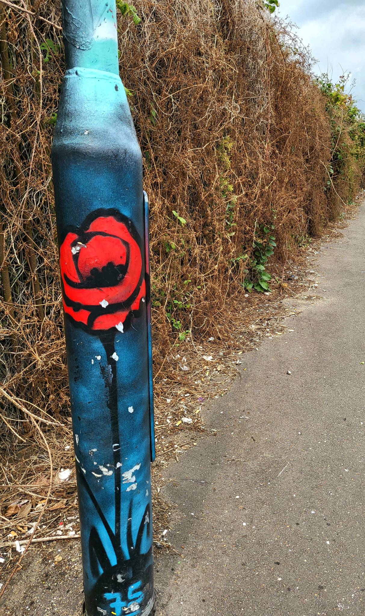 Various Artists&mdash;Graffers Alley