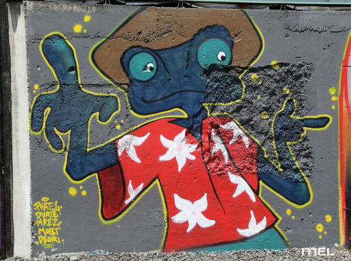 Chemise à fleurs