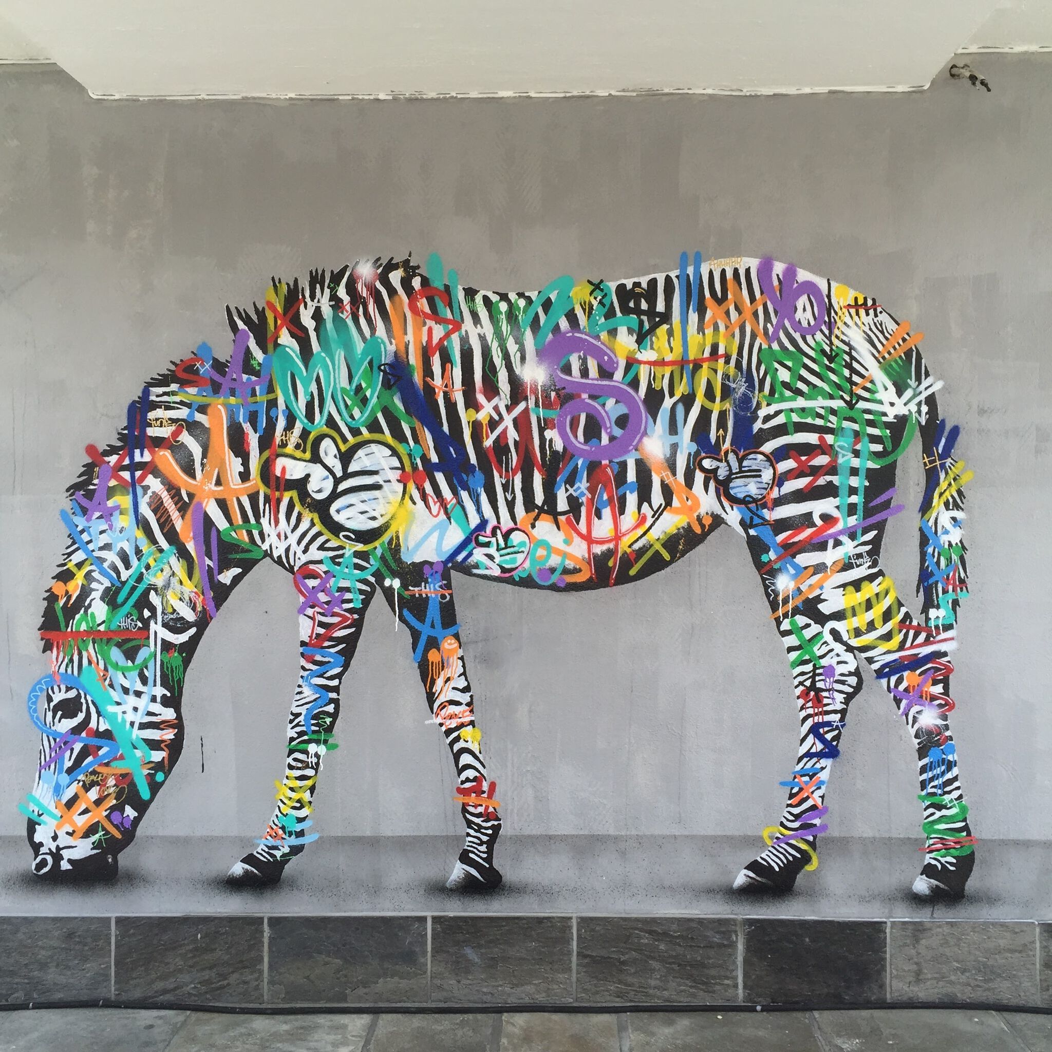 Martin Whatson&mdash;Urban Zebra