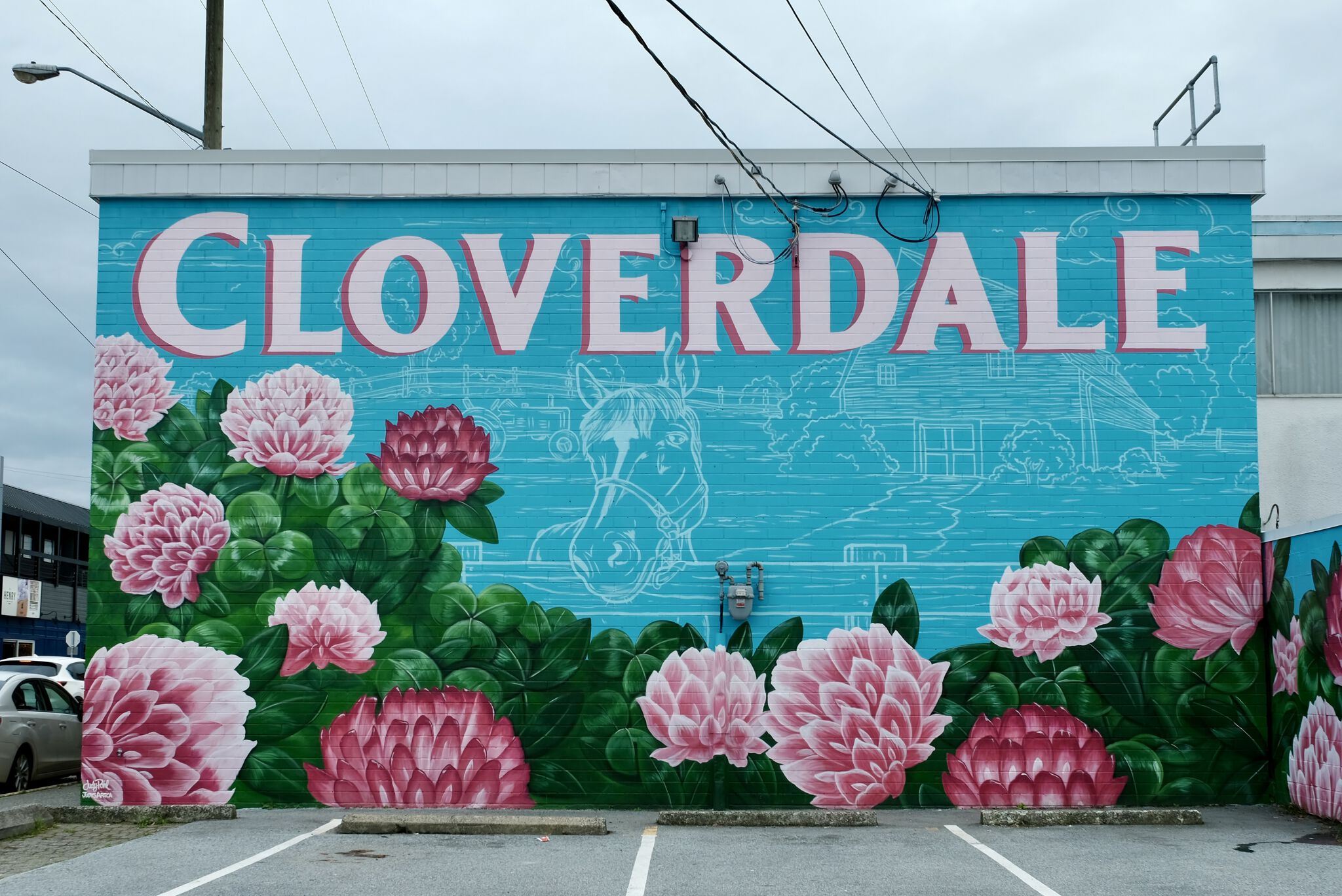 Judy Pohl&mdash;CLOVERDALE