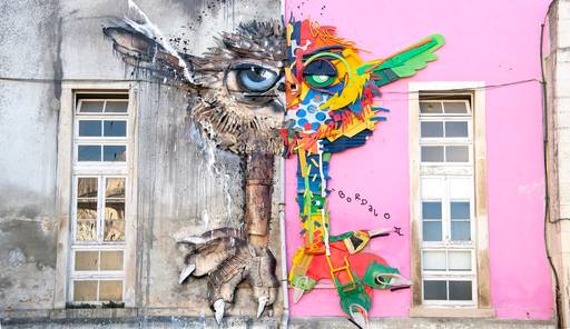 Half owl