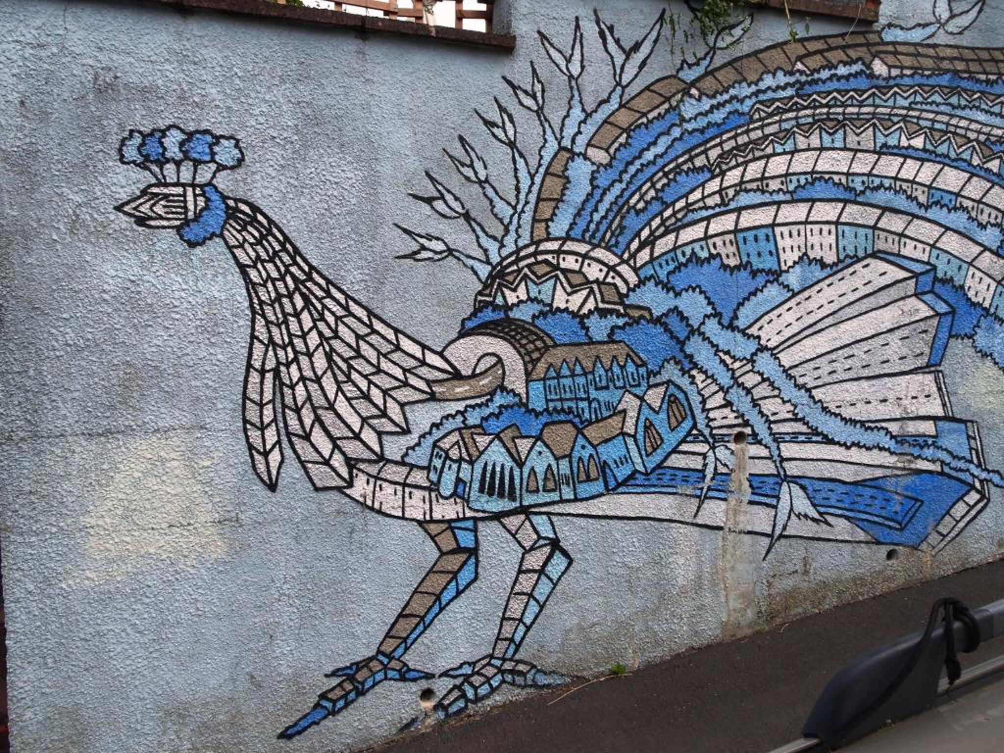 Andy Council&mdash;Peacock