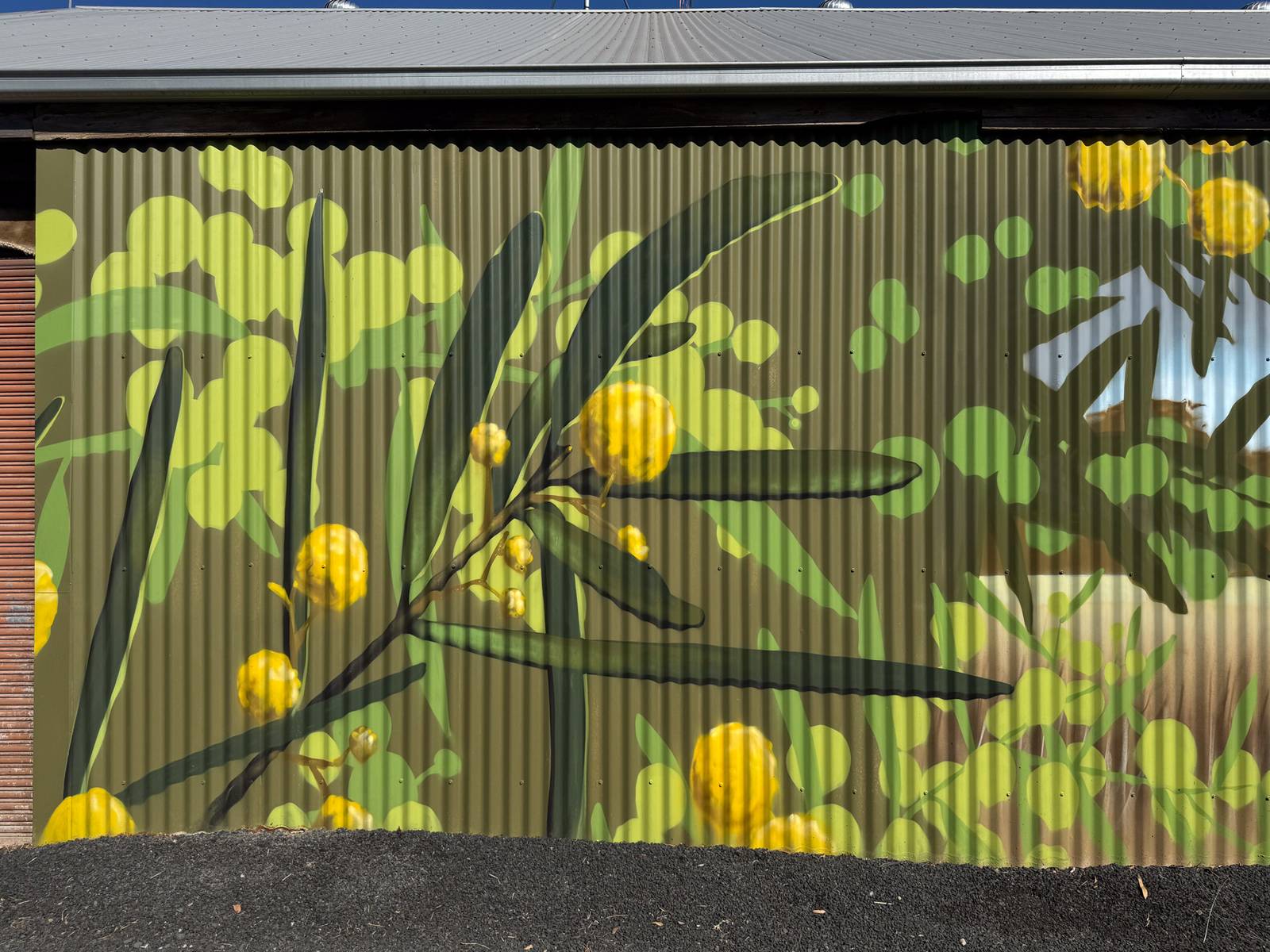 Smug&mdash;Mallee Emu Wren Mural