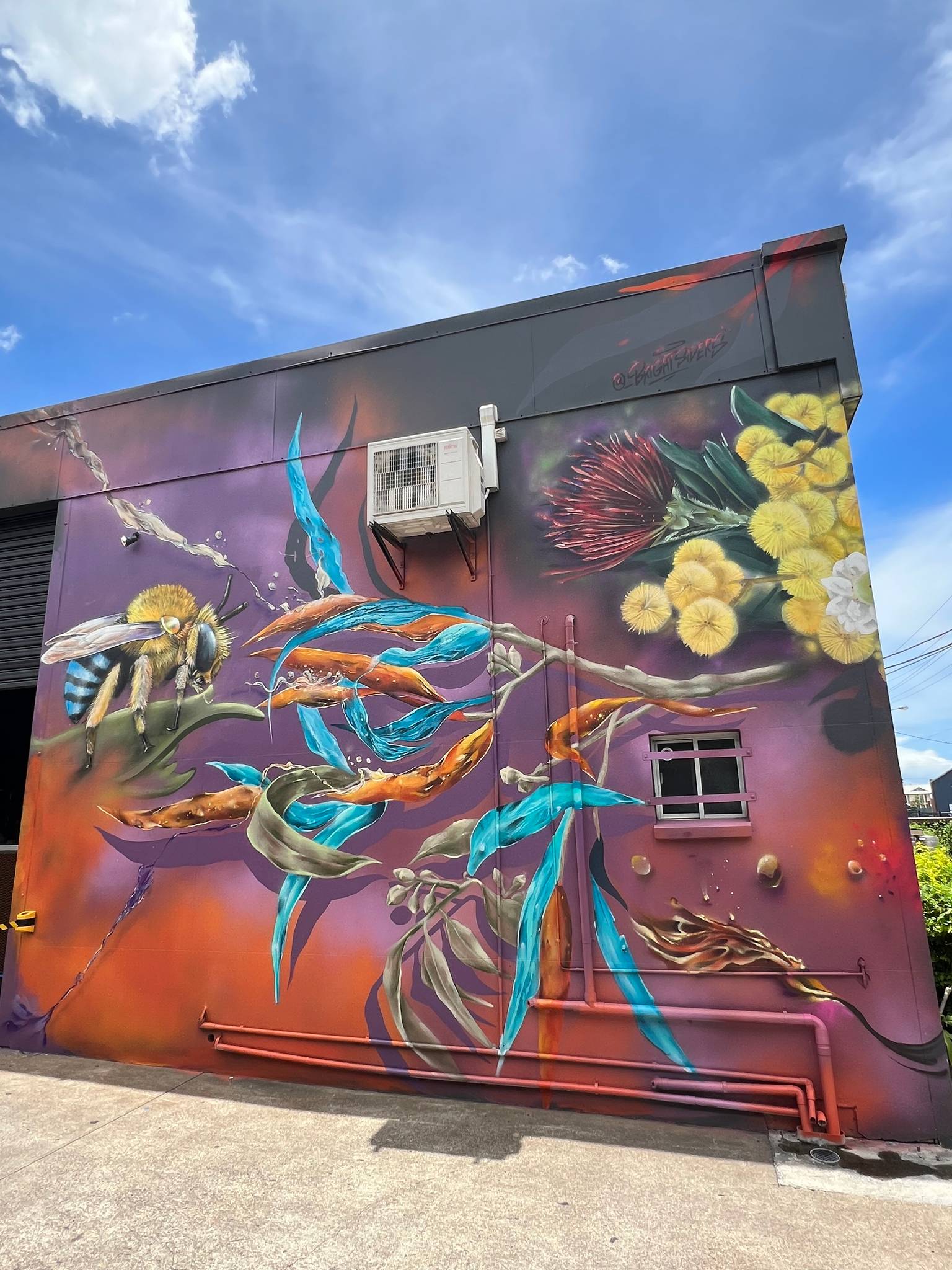 Jordan Bruce Art, Procreativ&mdash;undefined