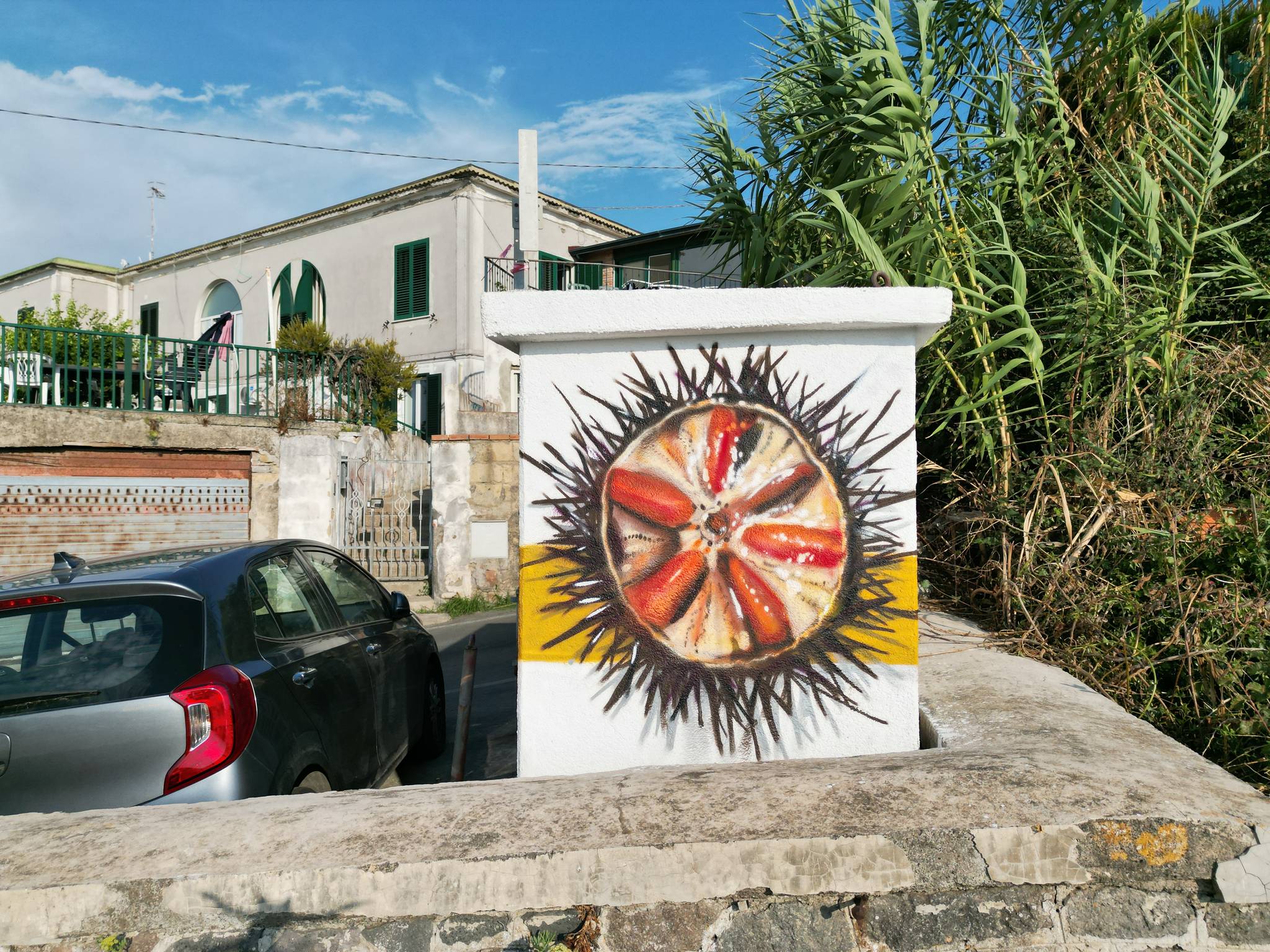 Neve&mdash;Procida Capitale italiana della Cultura 2022-Cabine D'Autore