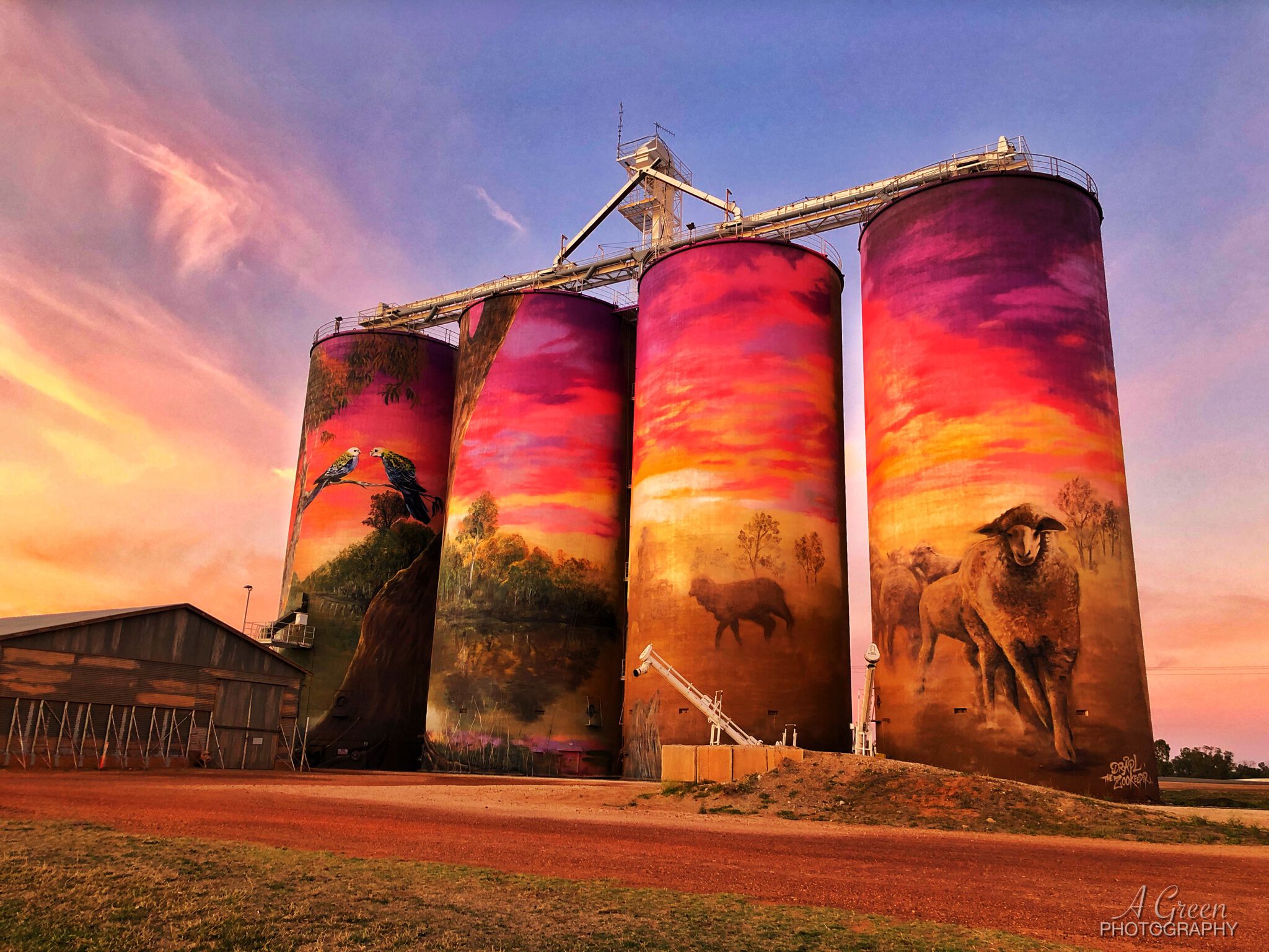 The Zookeeper, Travis Vinson, Drapl&mdash;Thallon Silo Art