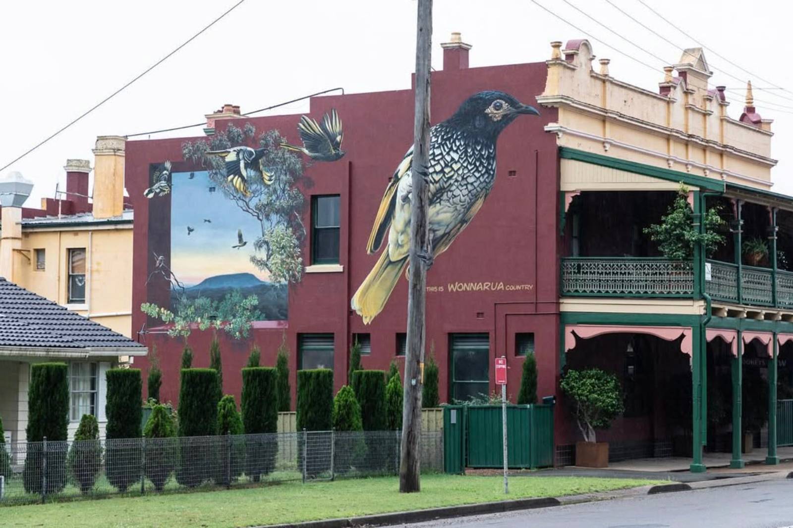 Jenny McCracken&mdash;Regent Honeyeater
