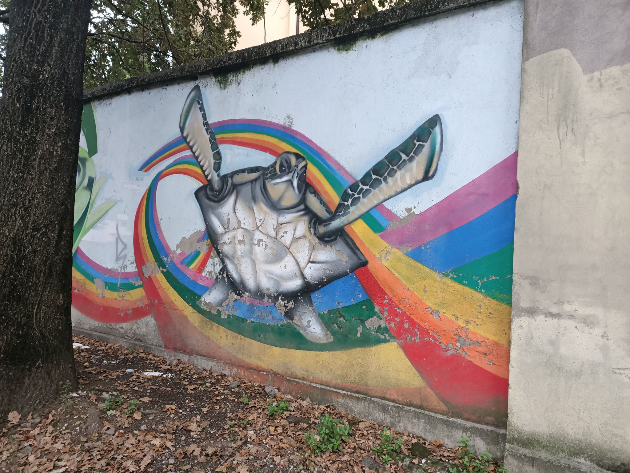 Unknown - Padua&mdash;Untitled