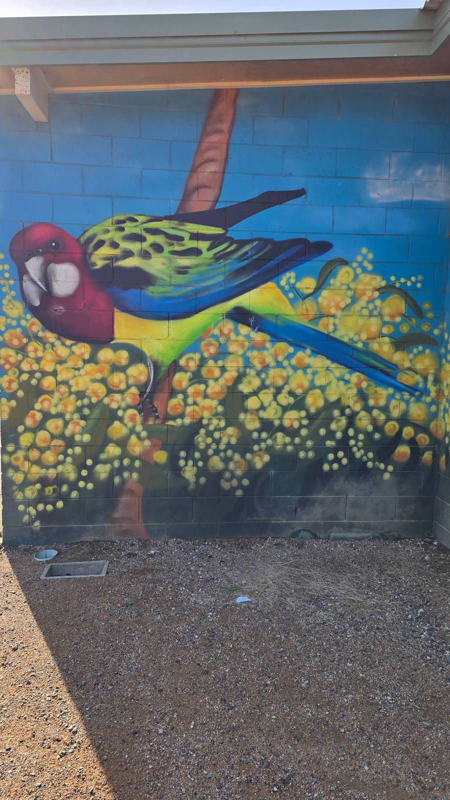 Graffik Paint&mdash;Birds of Canberra