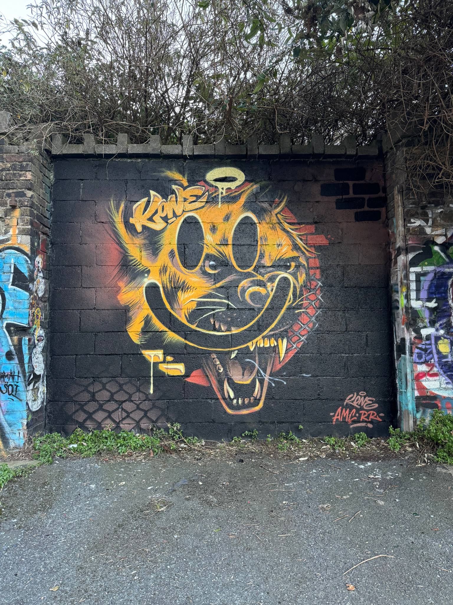 Kone&mdash;Hyena Smiley