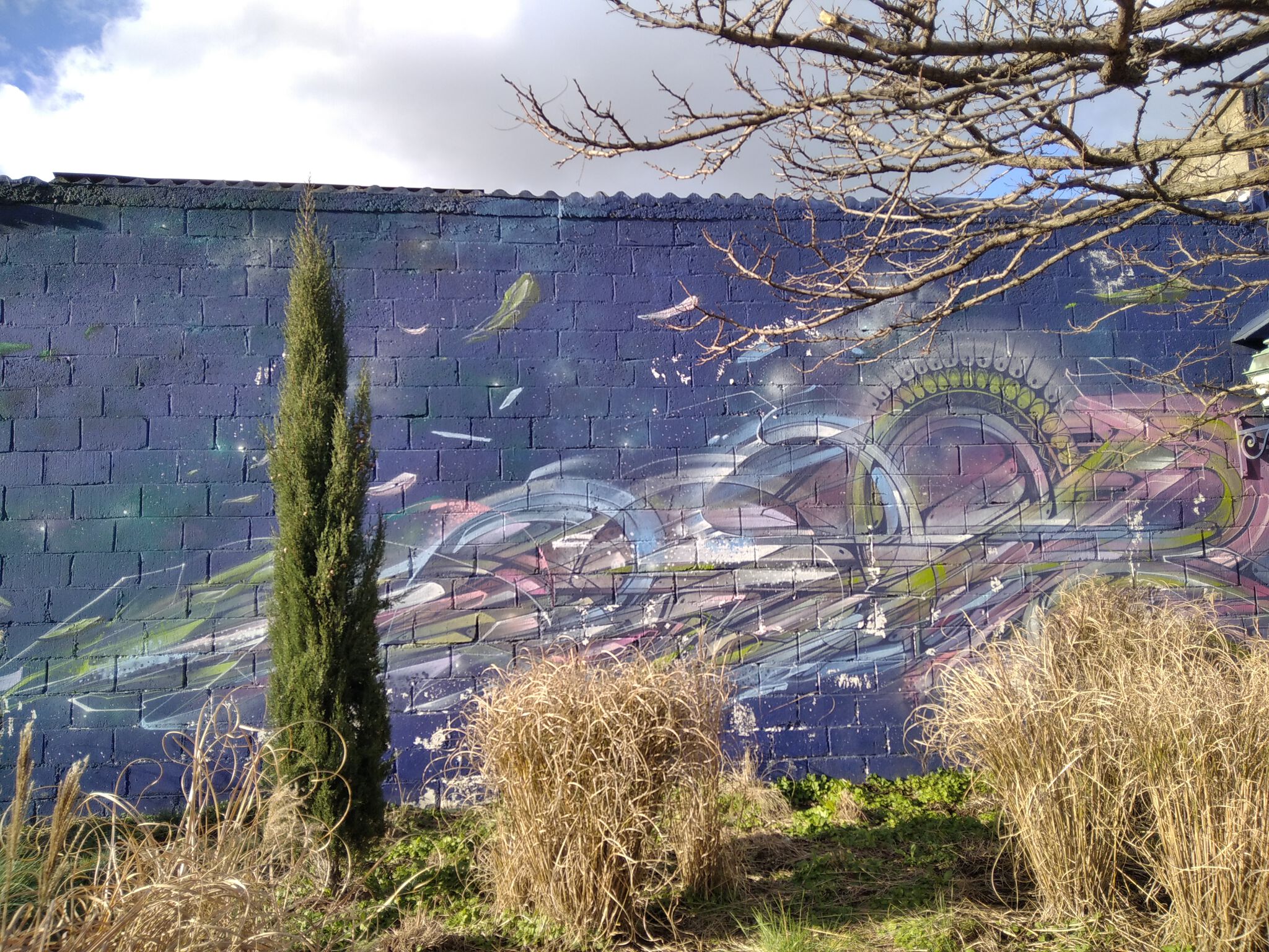 Akhine, Seyb, Hopare, meushay, nesby, Brok&mdash;Untitled