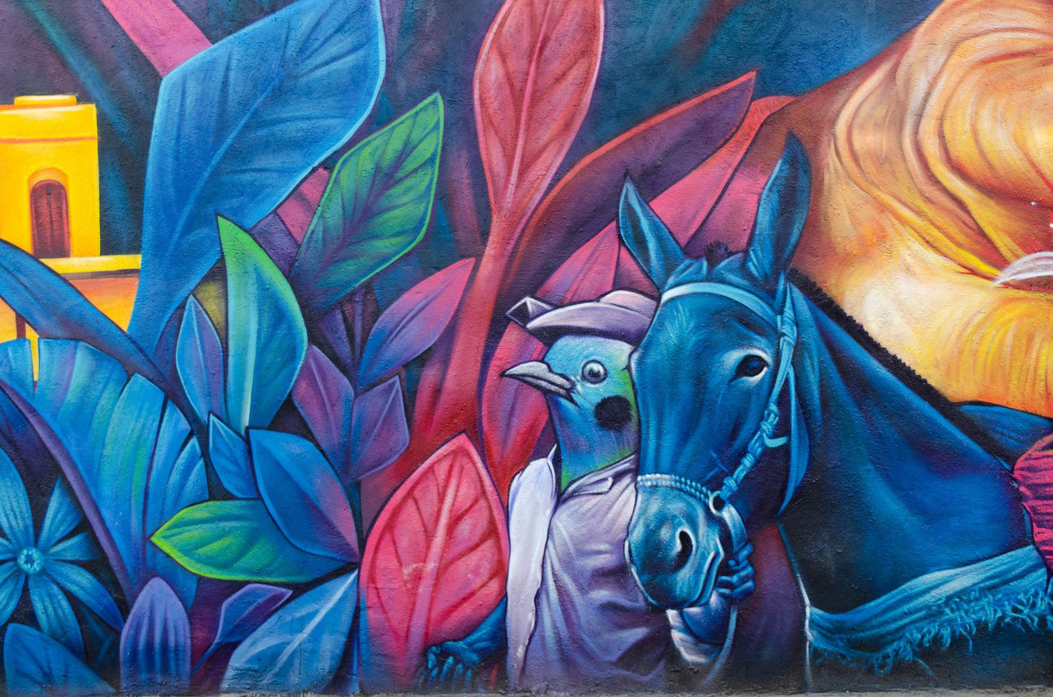 Eterno, revolucionarte &mdash;Sembrando paz en el territorio