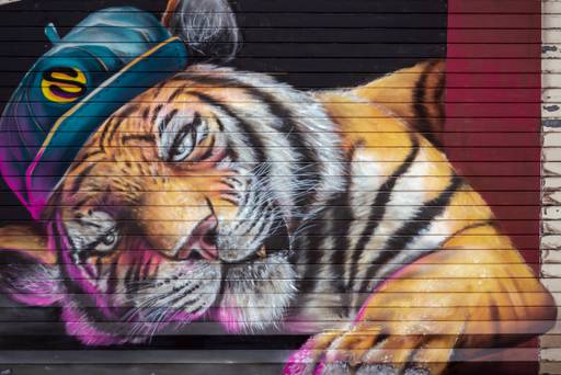 Tiger